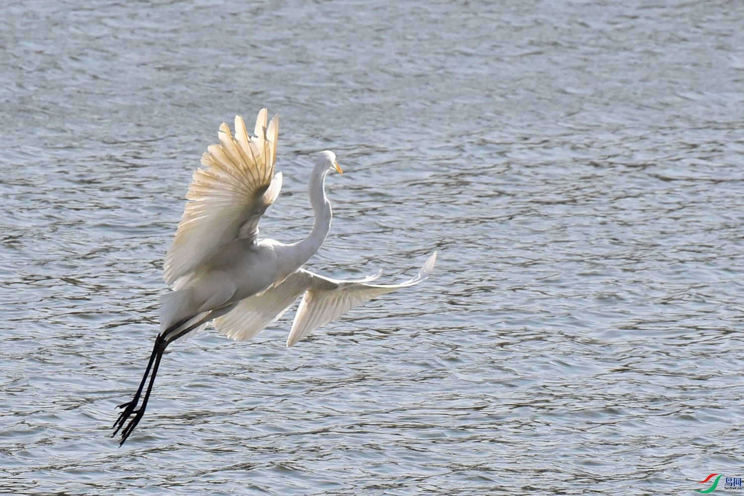 DSC_6124.JPG