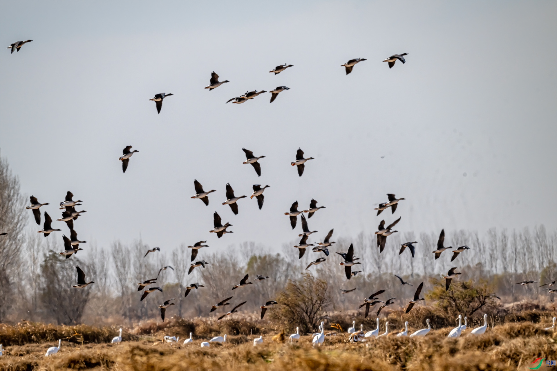 DSC_7724-2.jpg
