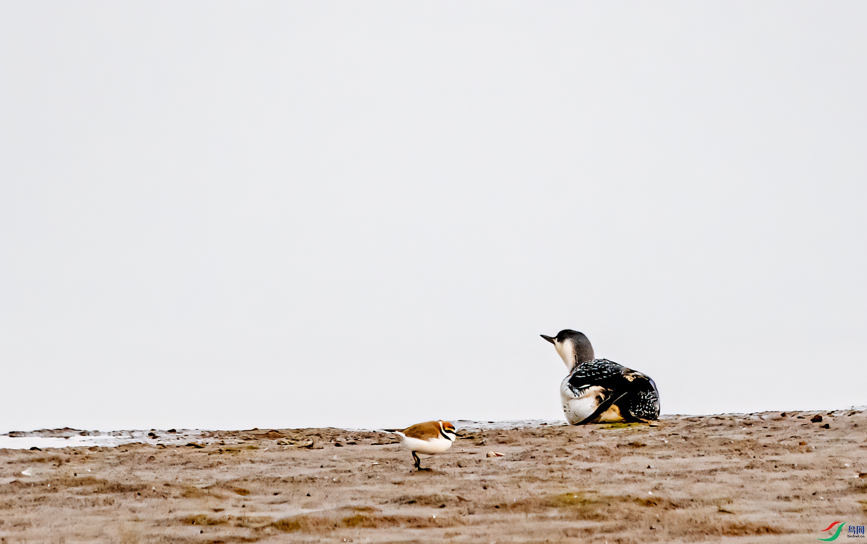 DSC_5392-11.jpg