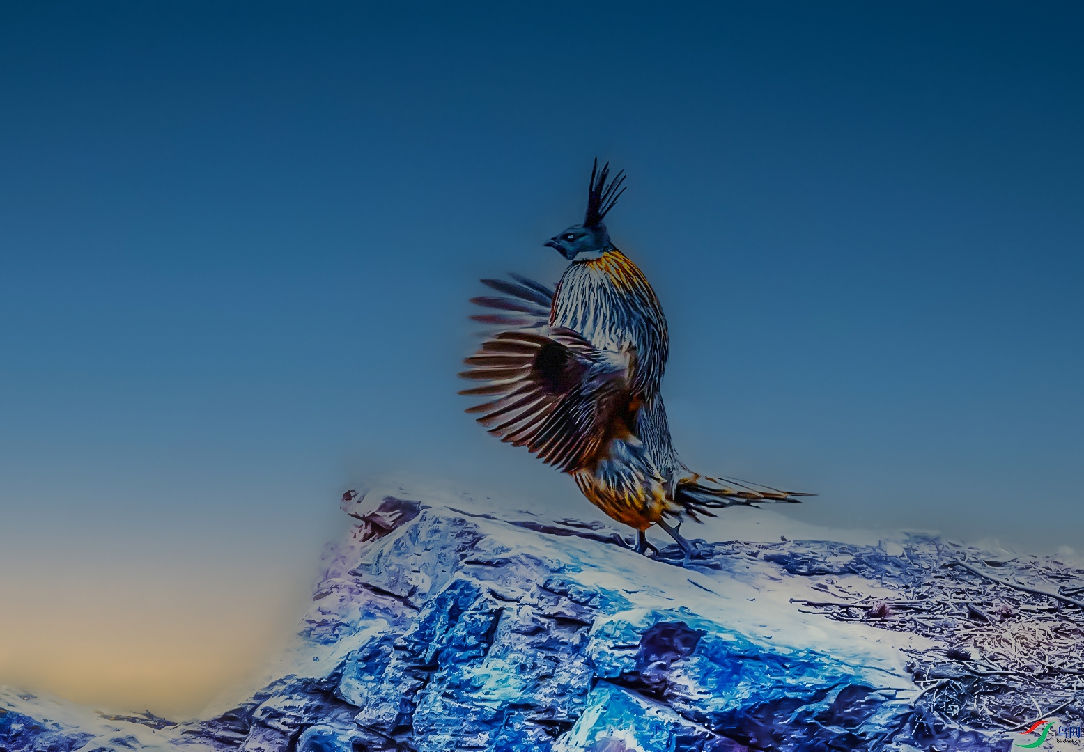 psc-(1)�׼� ����-�ָ��� ���� 3.jpg