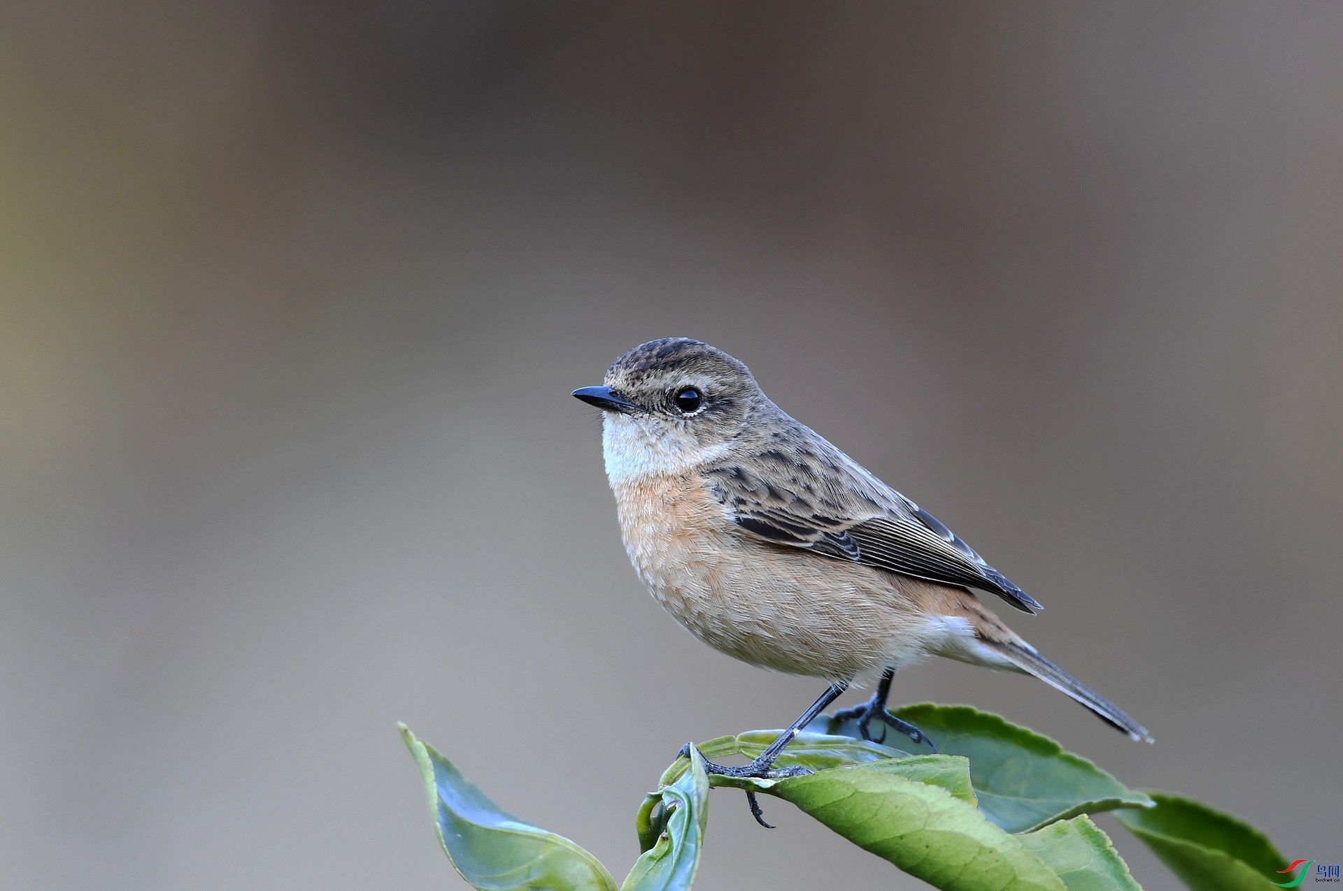 DSC_5315.jpg