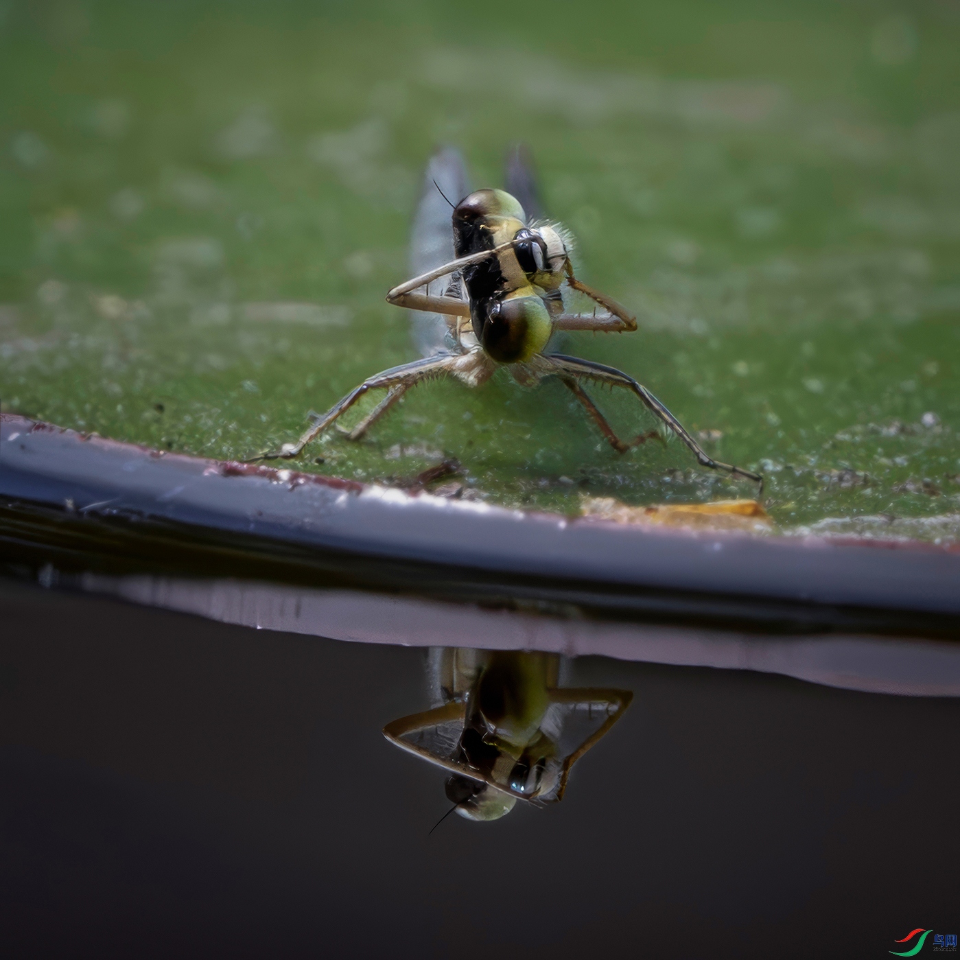 �����ڰ��ް�������ֲ��԰��