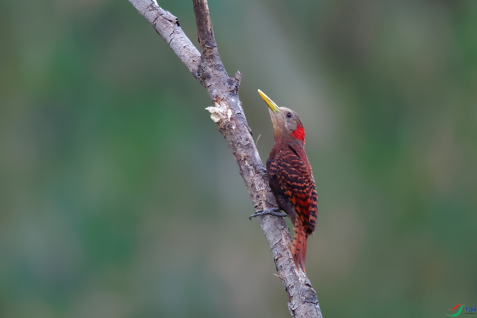 DSC_4767_DxOa.jpg