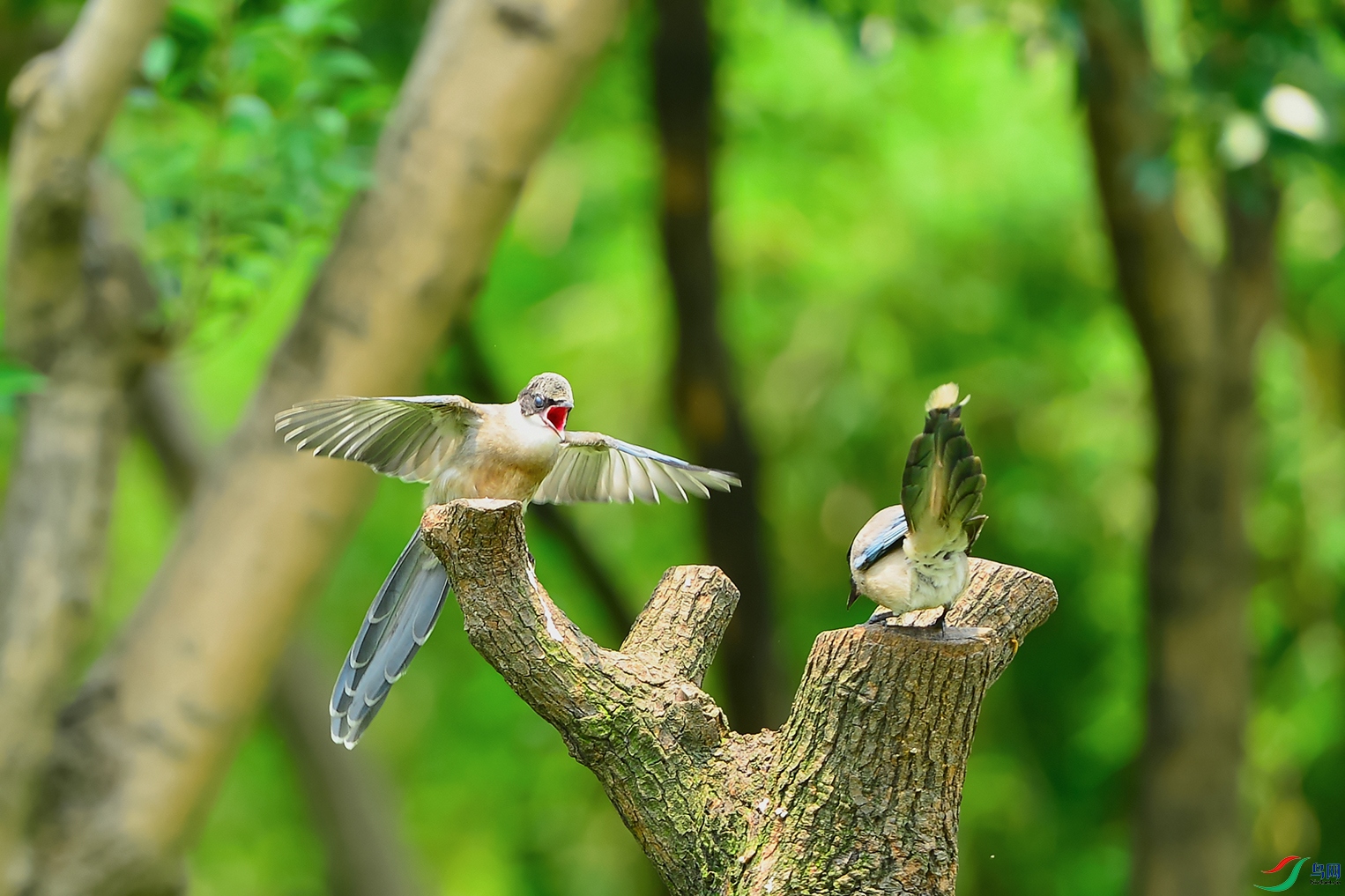 DSC_4271_DxOa.jpg
