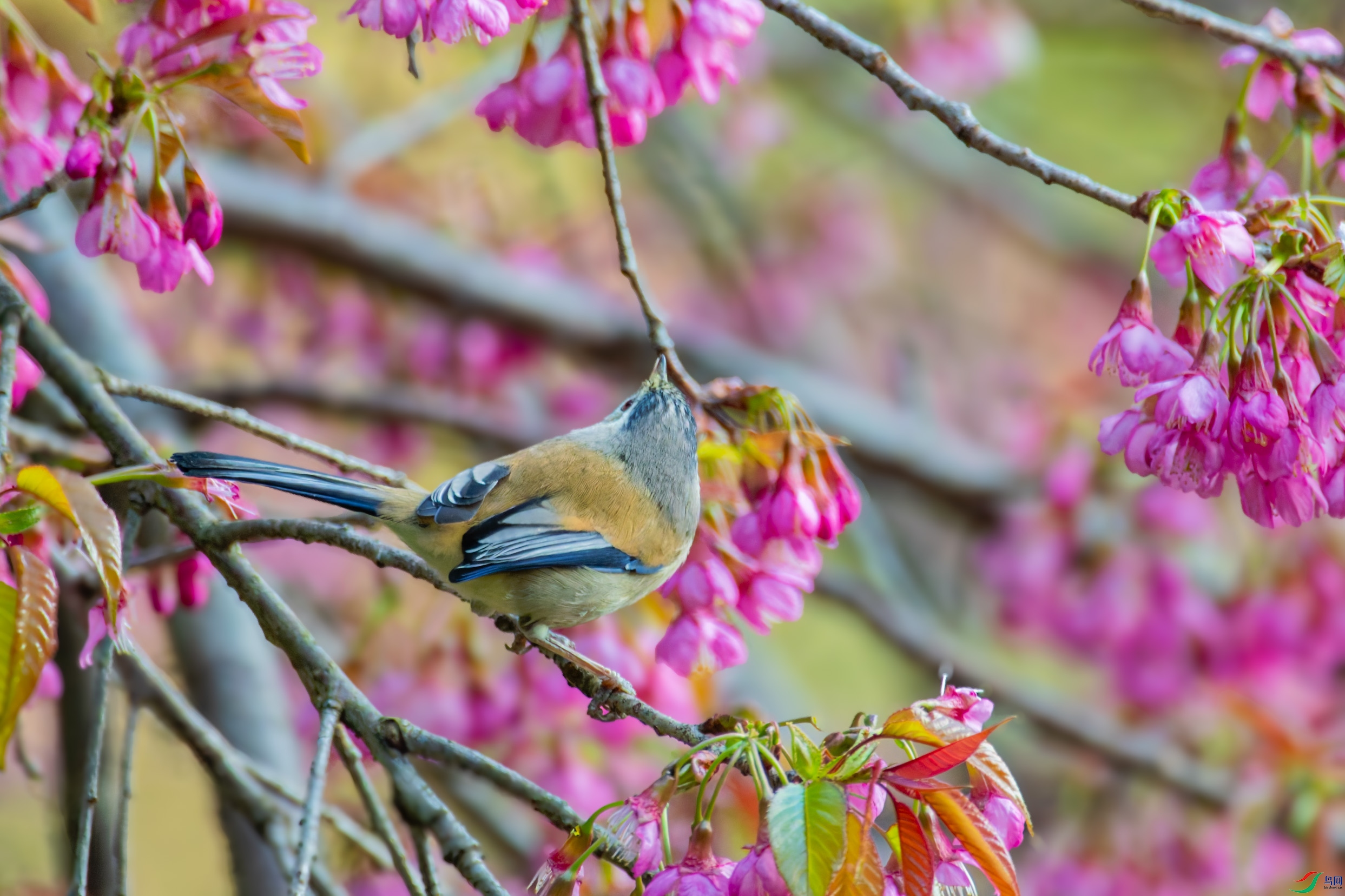 DSC_0574_DxO.jpg