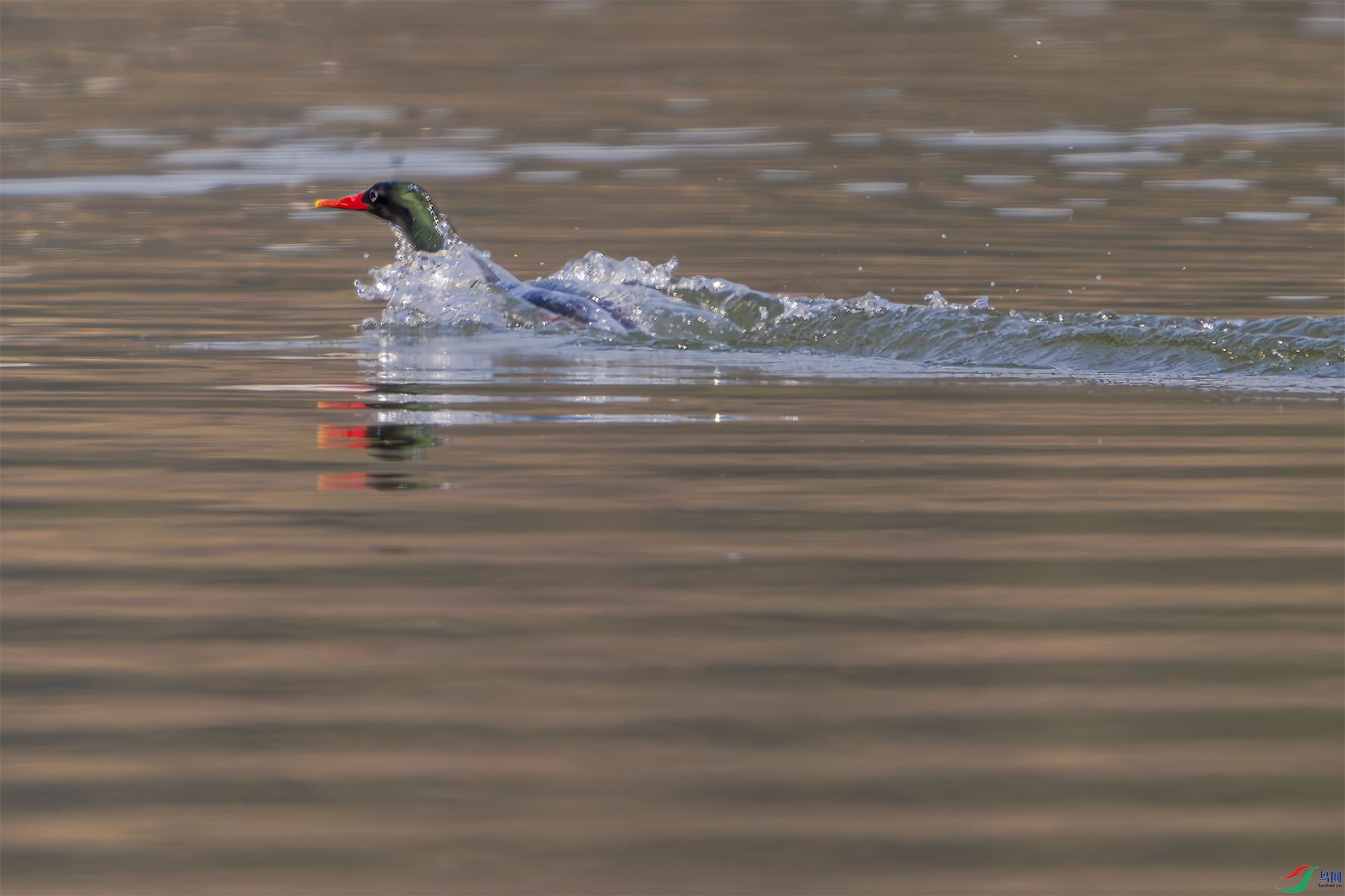 _DSC6047 ���� 2.jpg