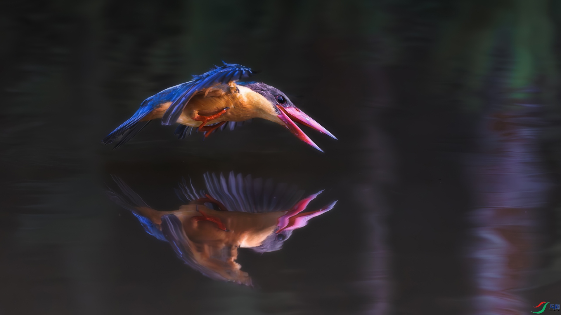 ΢��ͼƬ_20250724142954.jpg