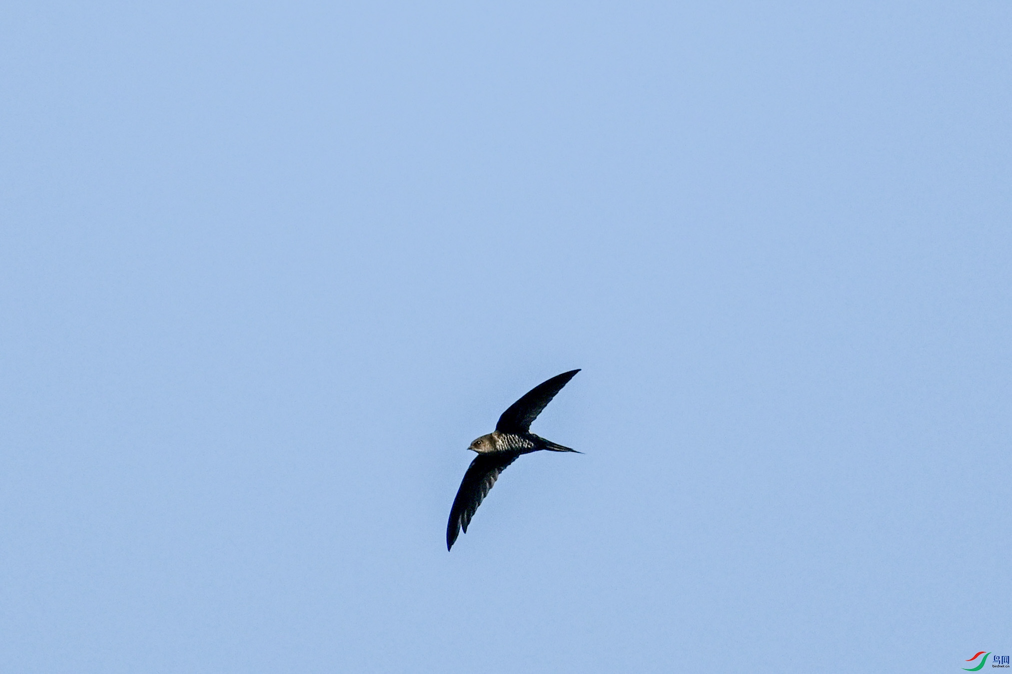 DSC_6159.JPG