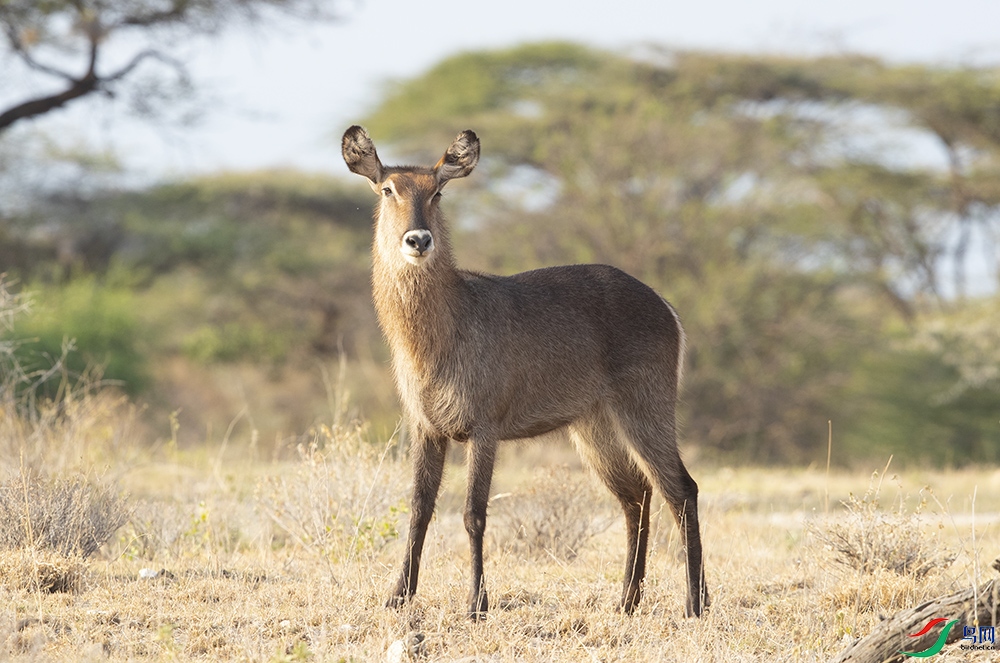 ˮ���� (4).jpg