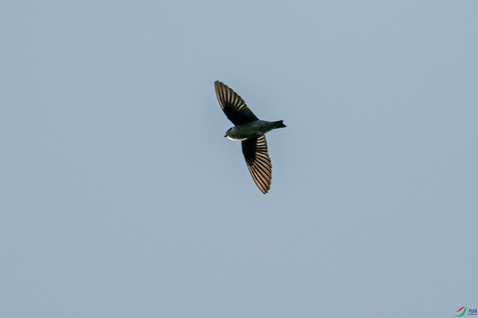 DSC_6131.JPG