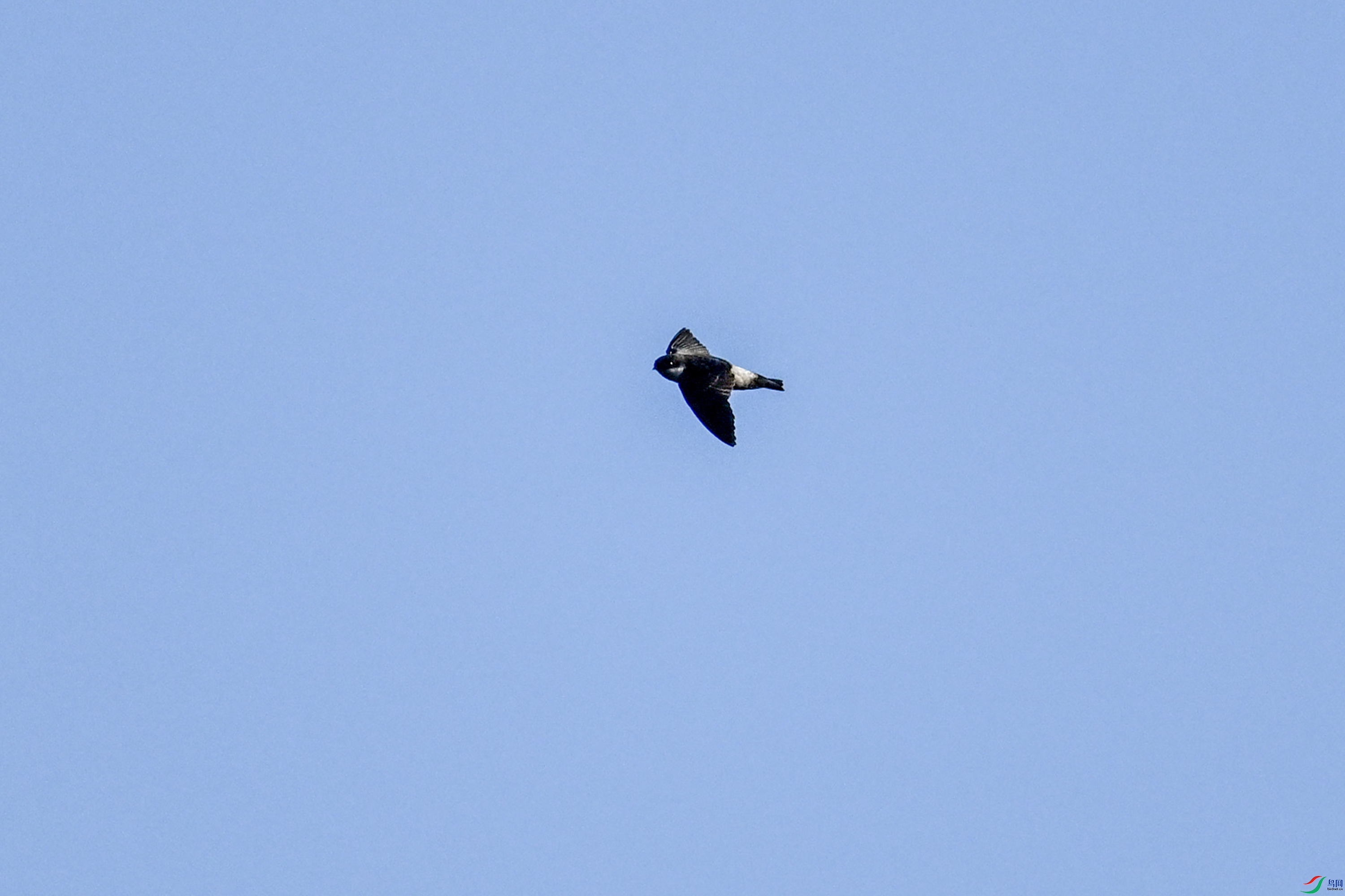 DSC_6150.JPG