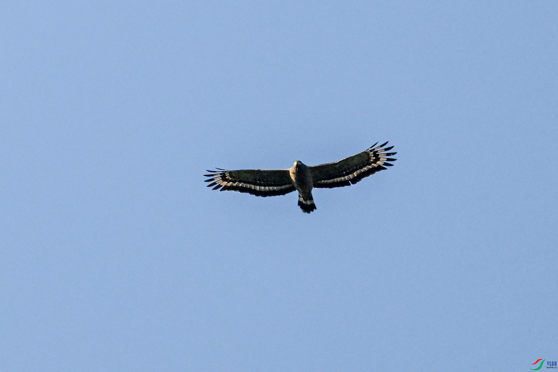 DSC_6174.JPG
