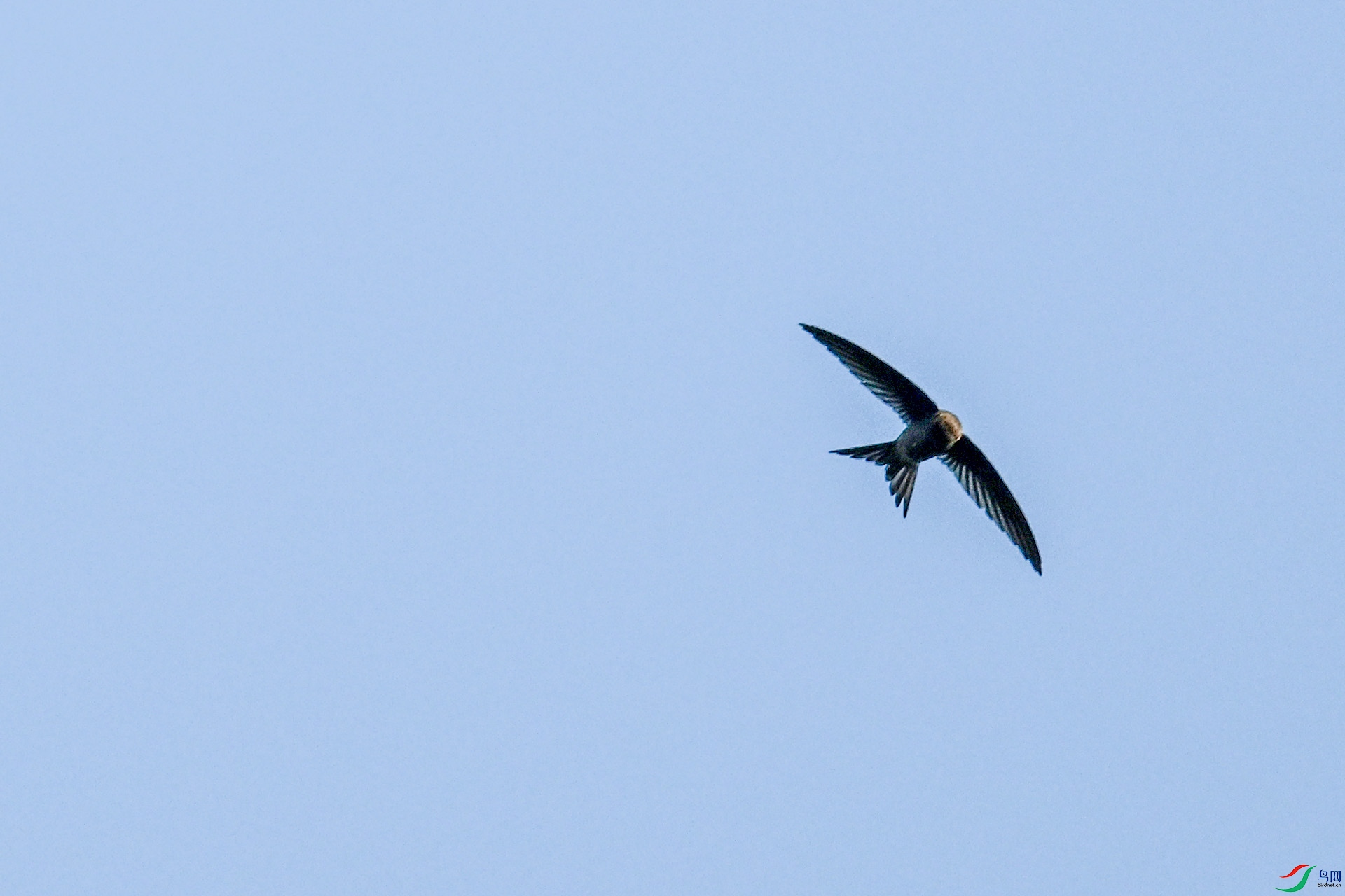 DSC_6135.JPG
