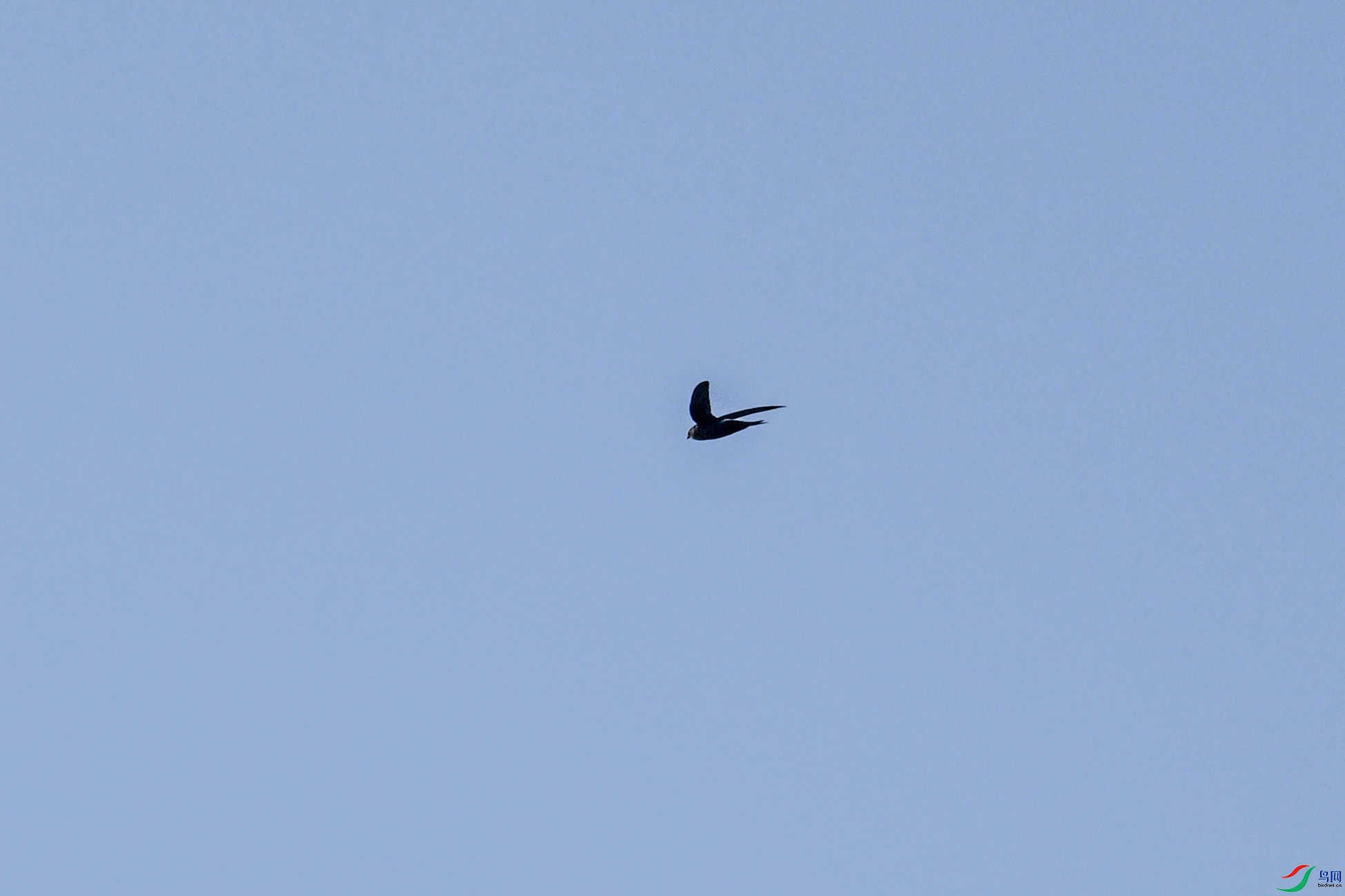DSC_6169.JPG