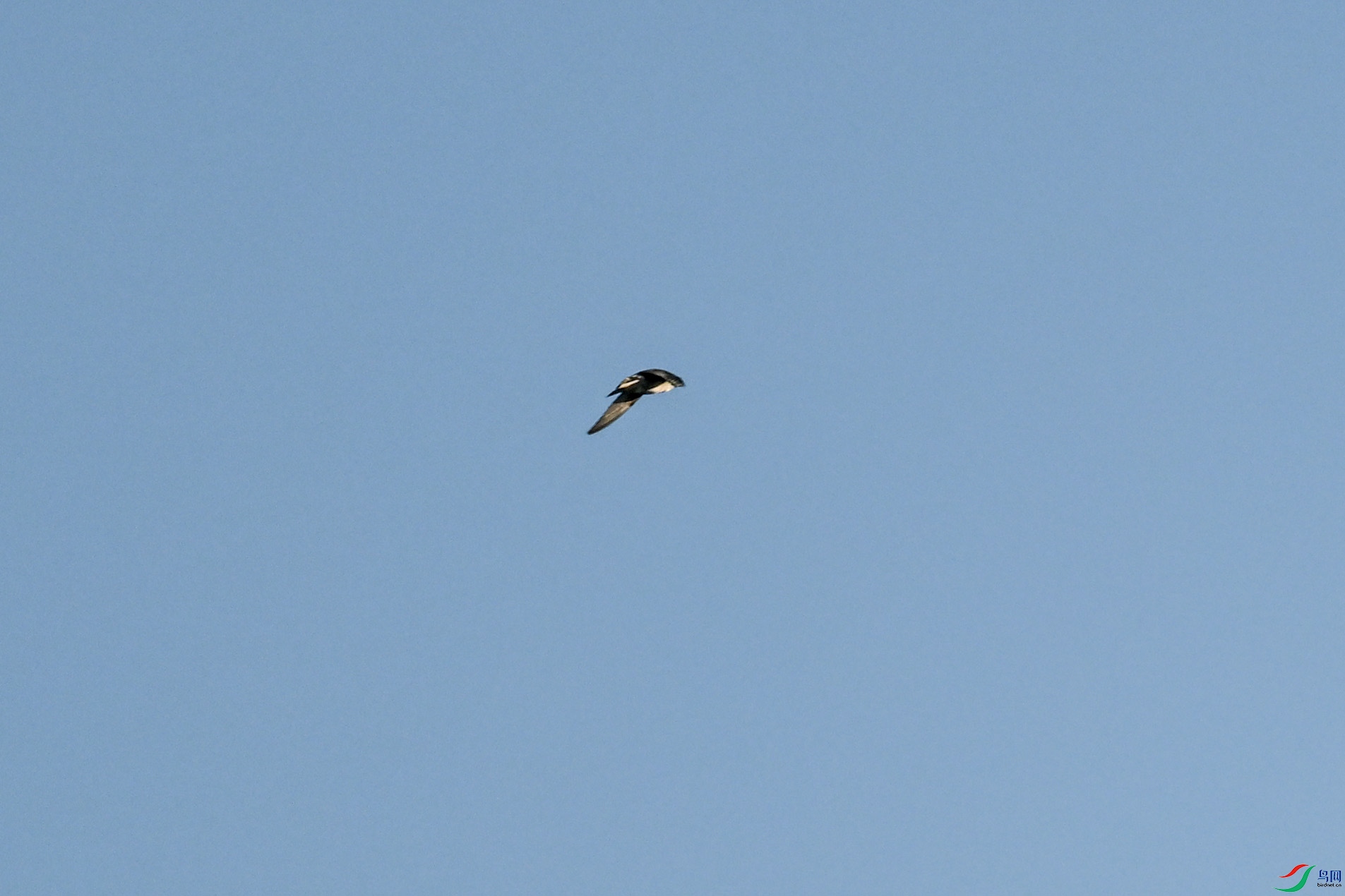 DSC_6142.JPG