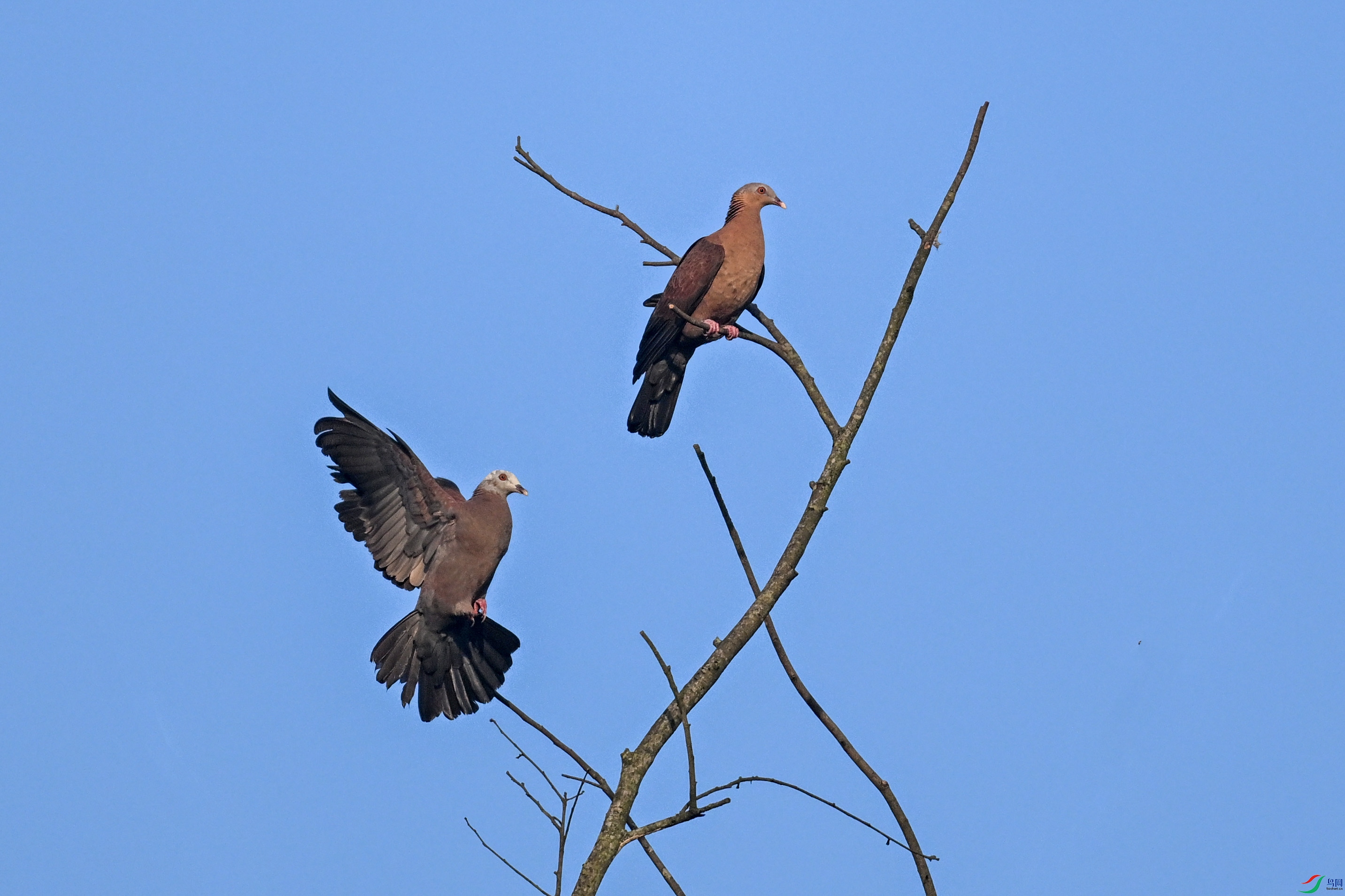 DSC_6108.JPG