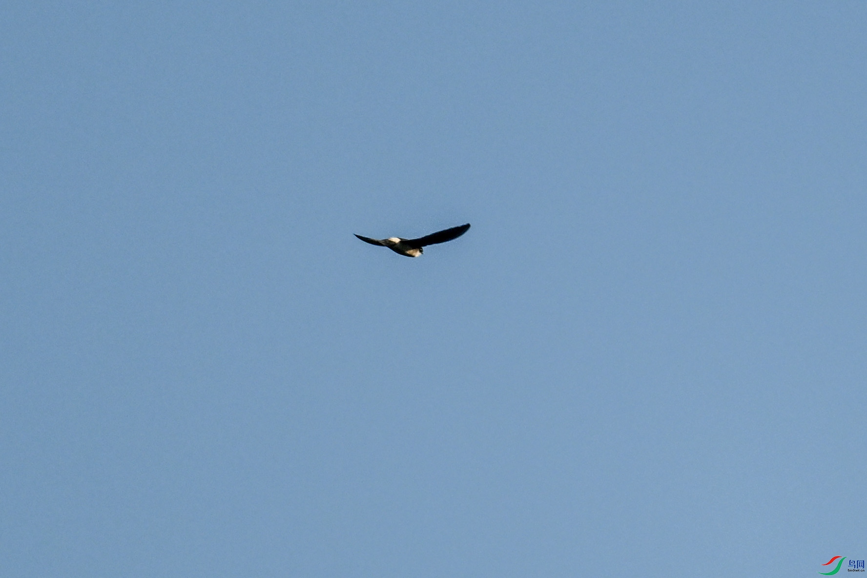 DSC_6145.JPG