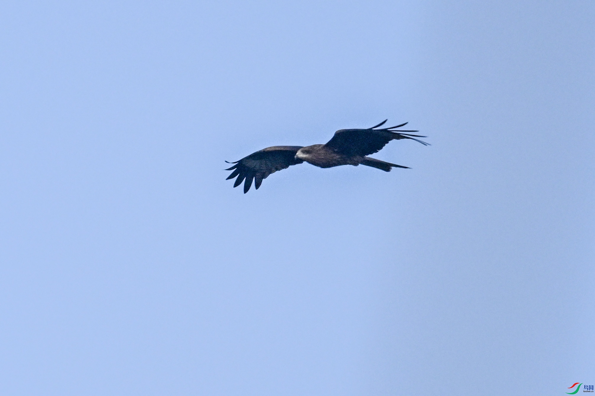 DSC_6121.JPG