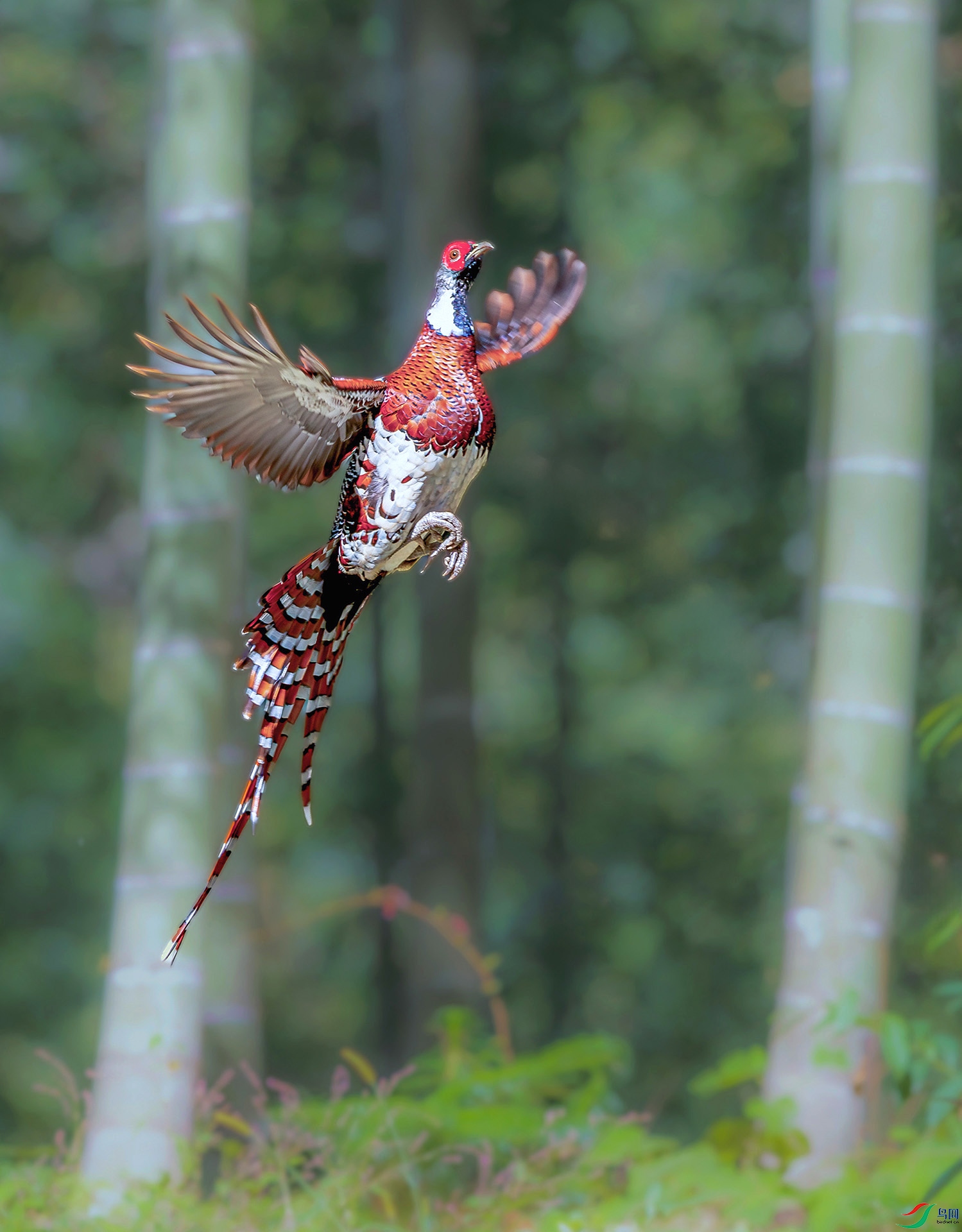 _25_4800 ����.jpg