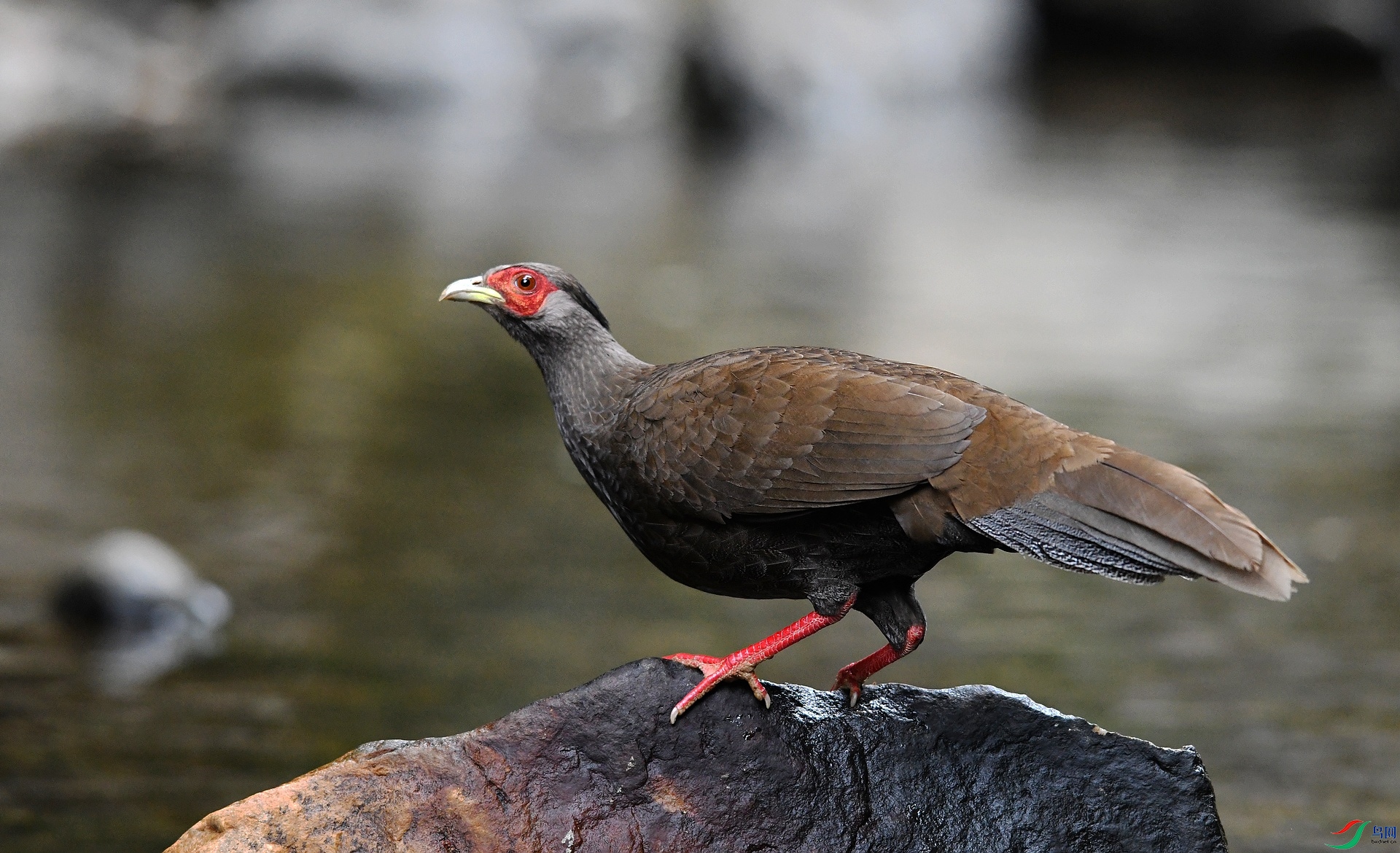 DSC_8455.jpg