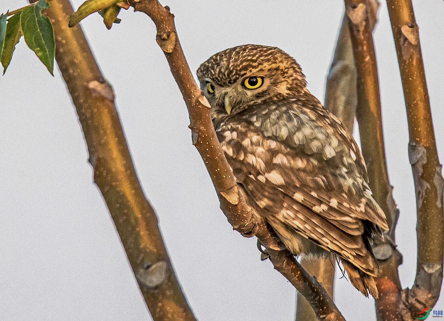 _90I7267 ���� 2.jpg