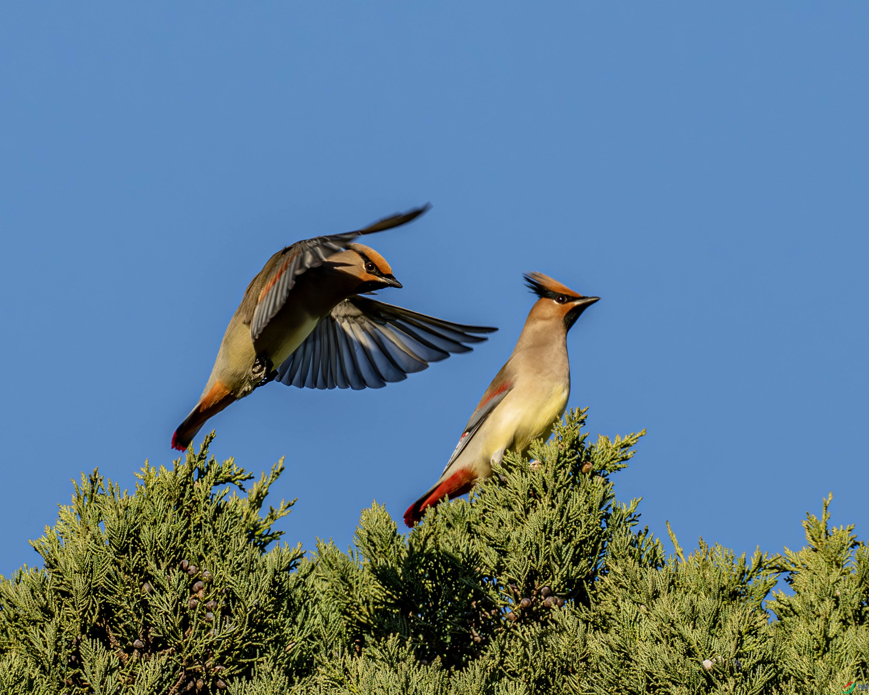 С̫ƽ��-01-7.jpg