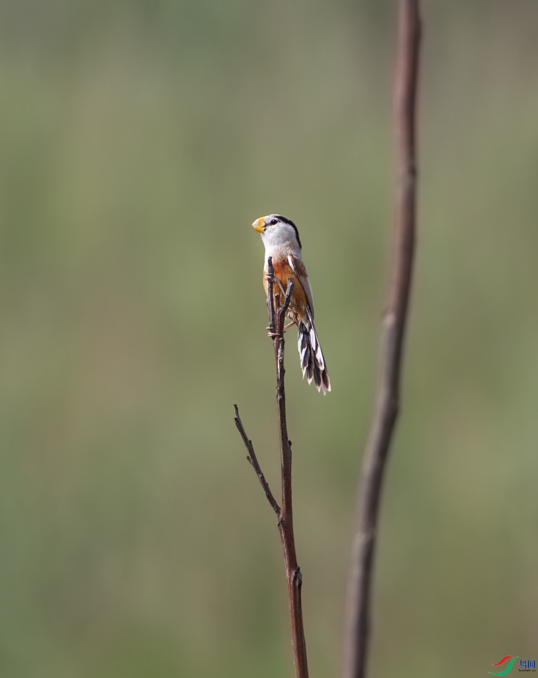 673A3065 ����.jpg