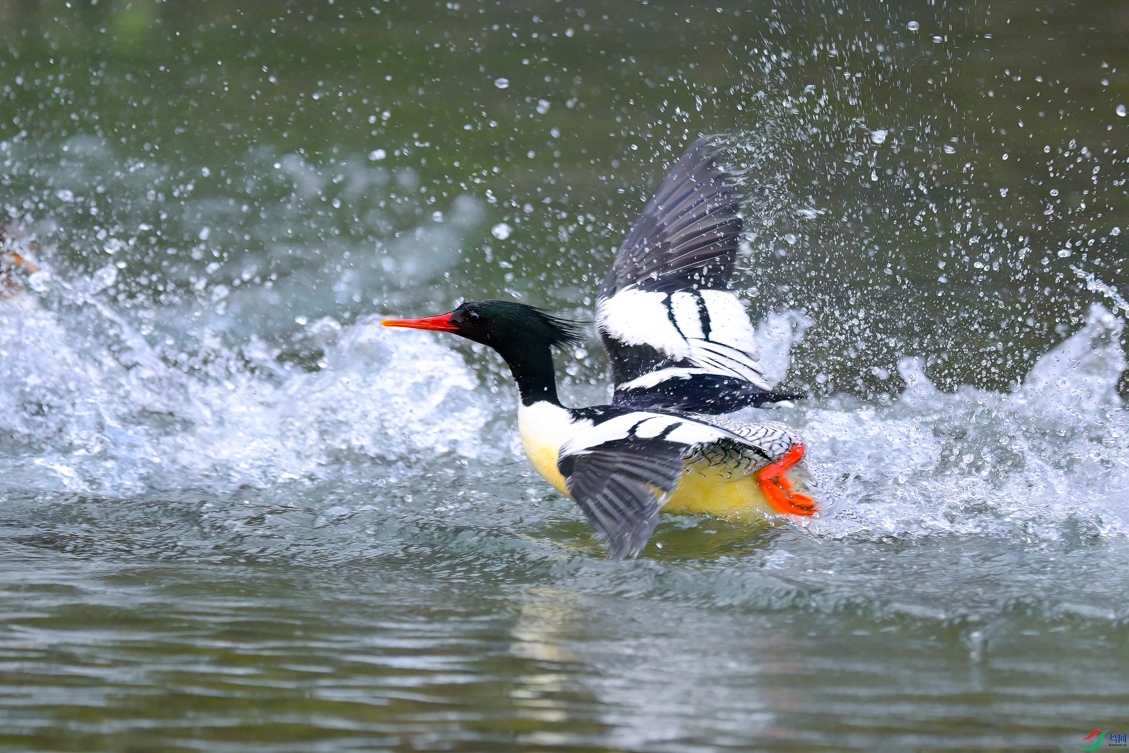 _DSC6978x.jpg