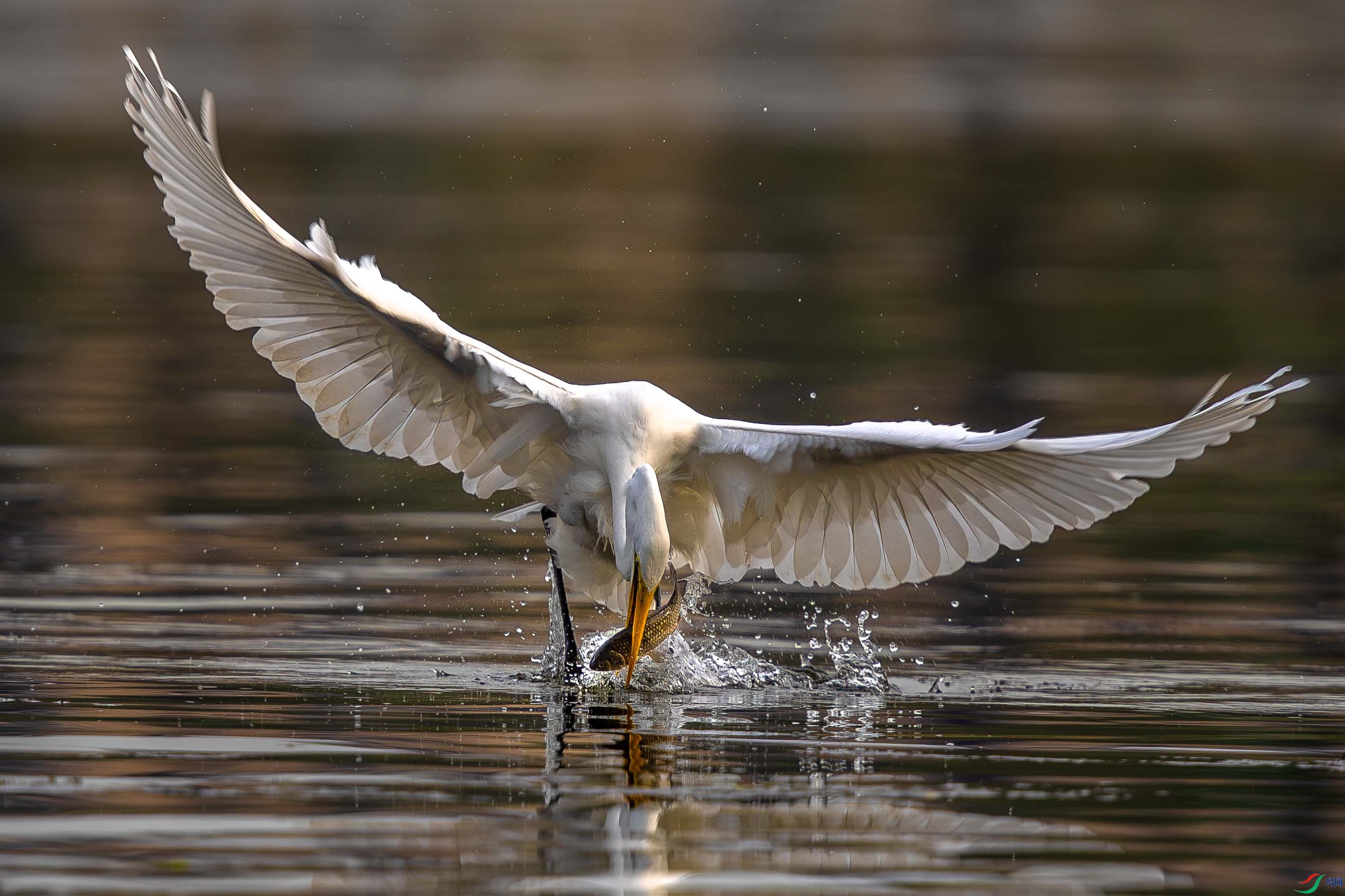 _L6I0544 ���� 2.jpg