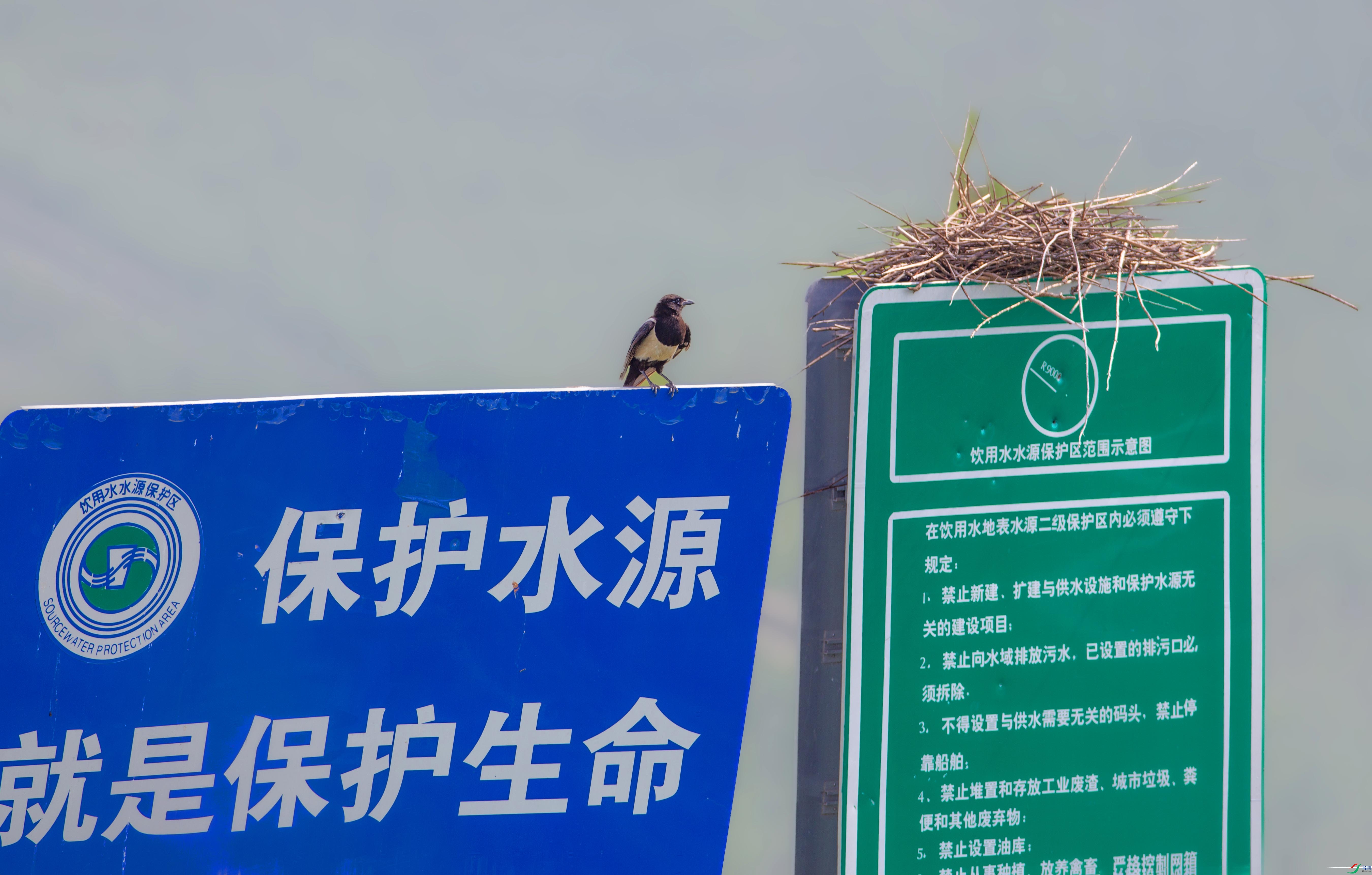 673A3058 ����.jpg