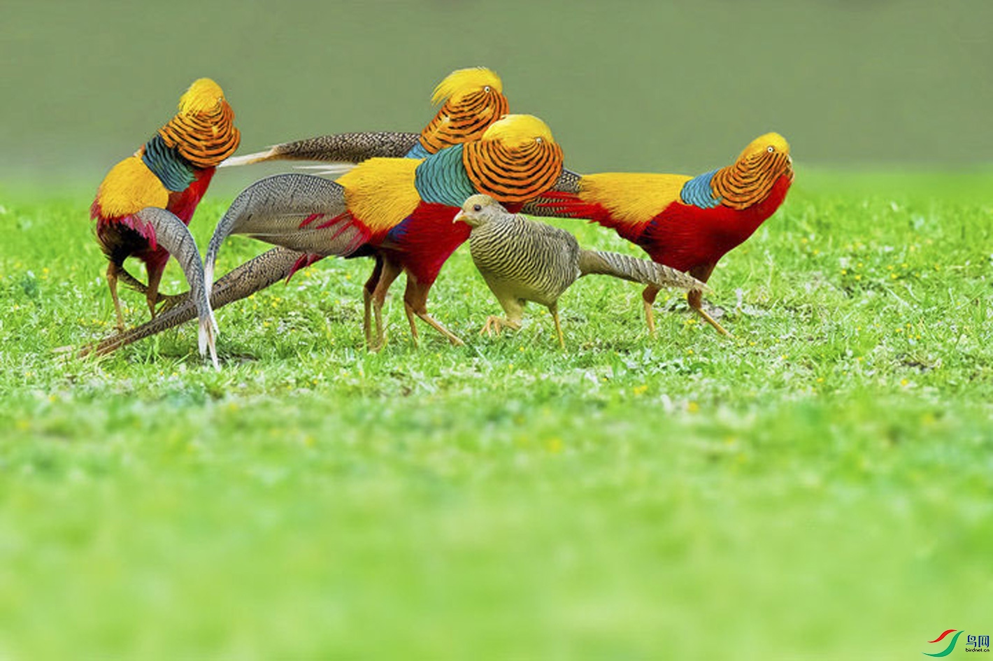 25.jpg