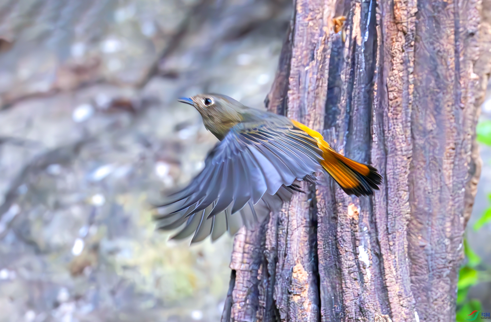 407A0802------33  .jpg