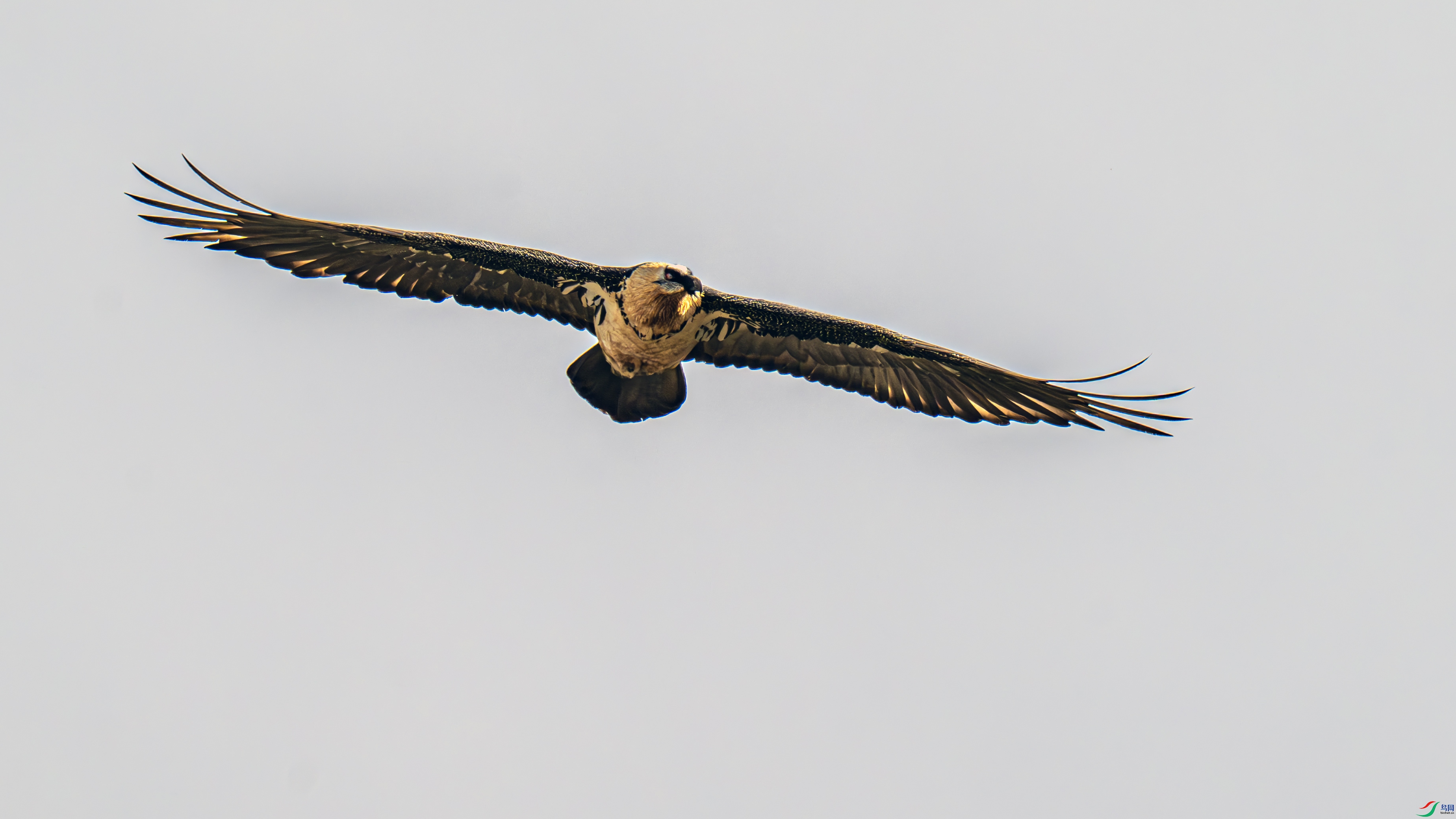 DSC_1866 ����.jpg