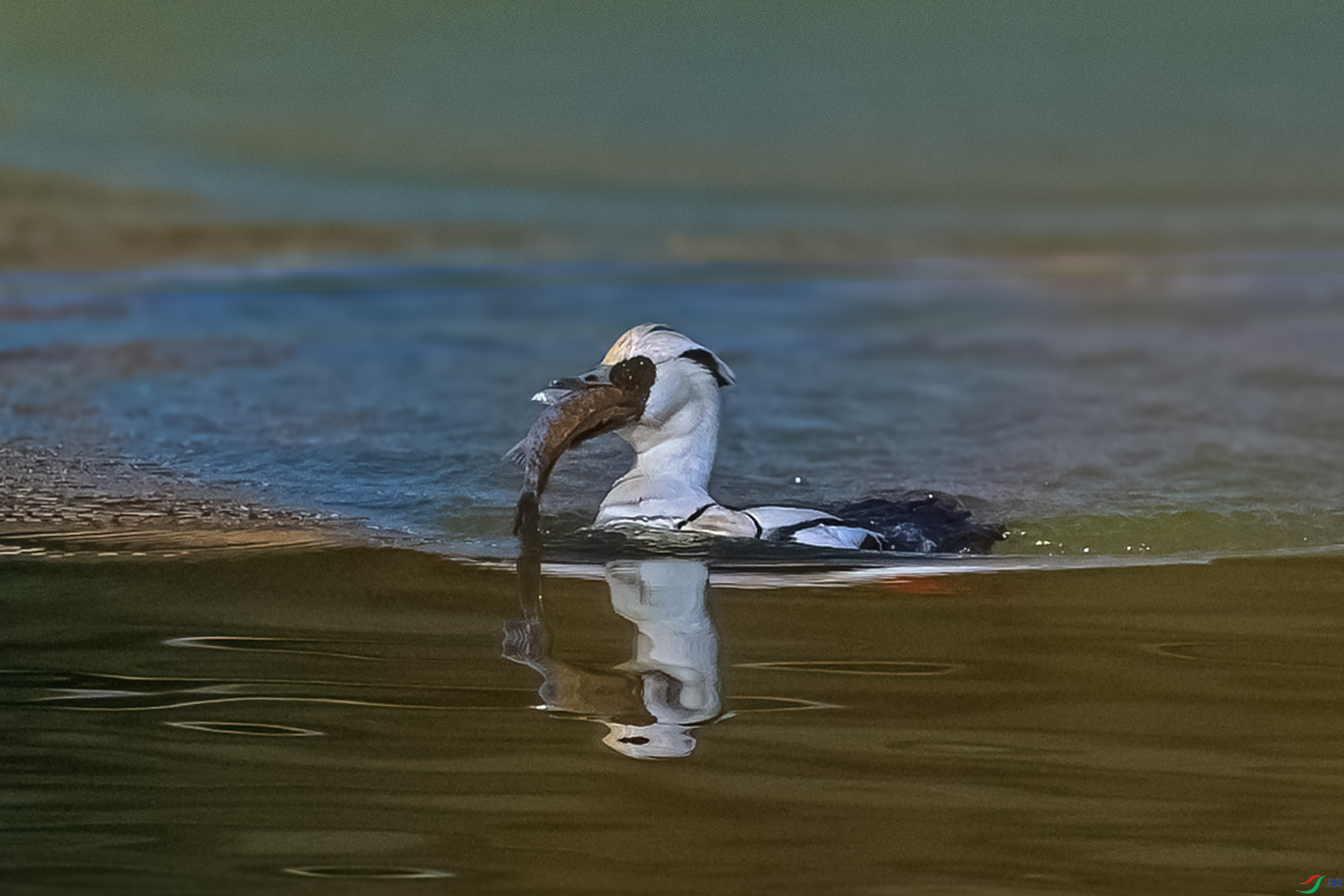 DSE_8087-2.jpg