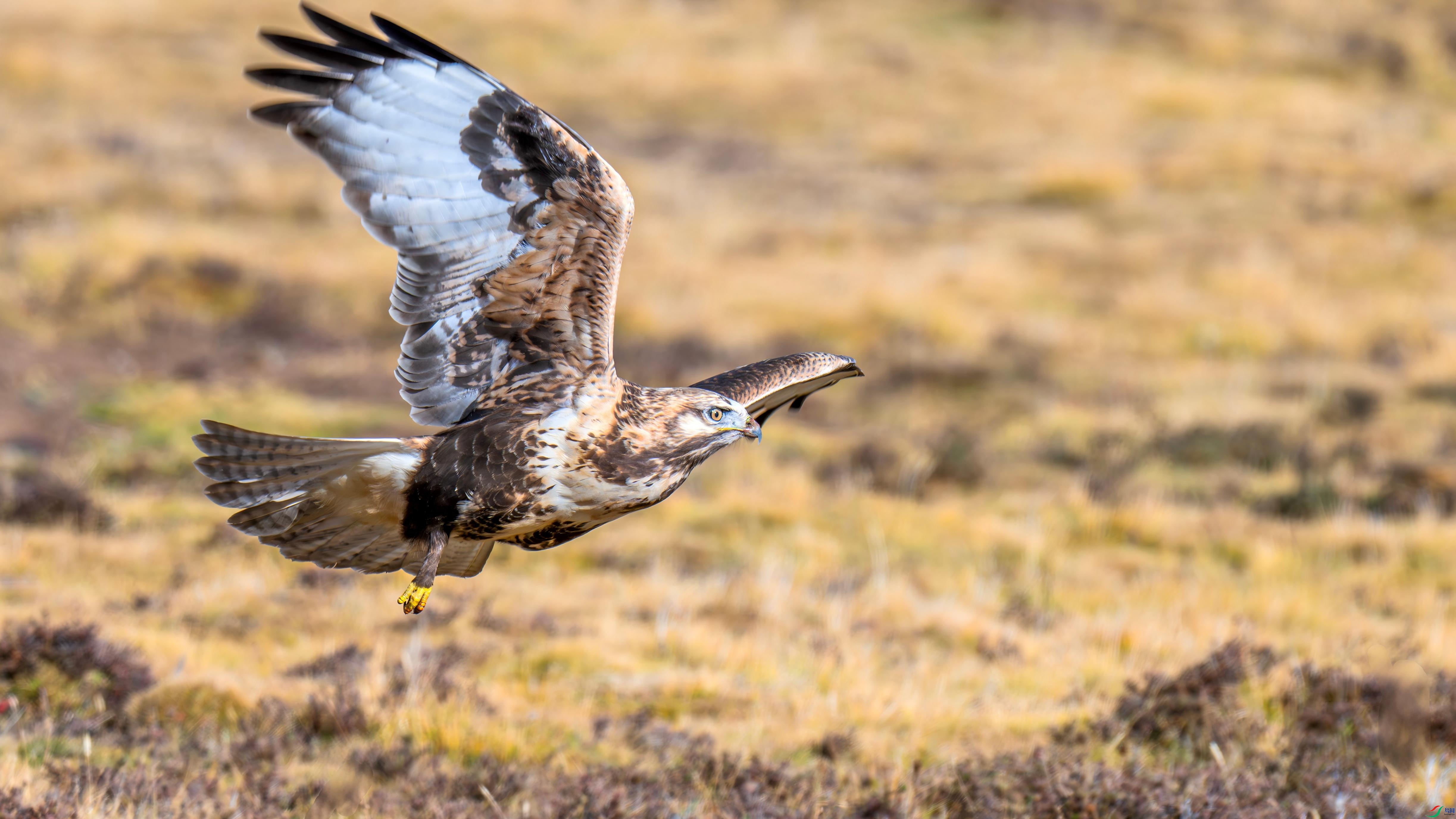 DSC_9452 ����(1).jpg