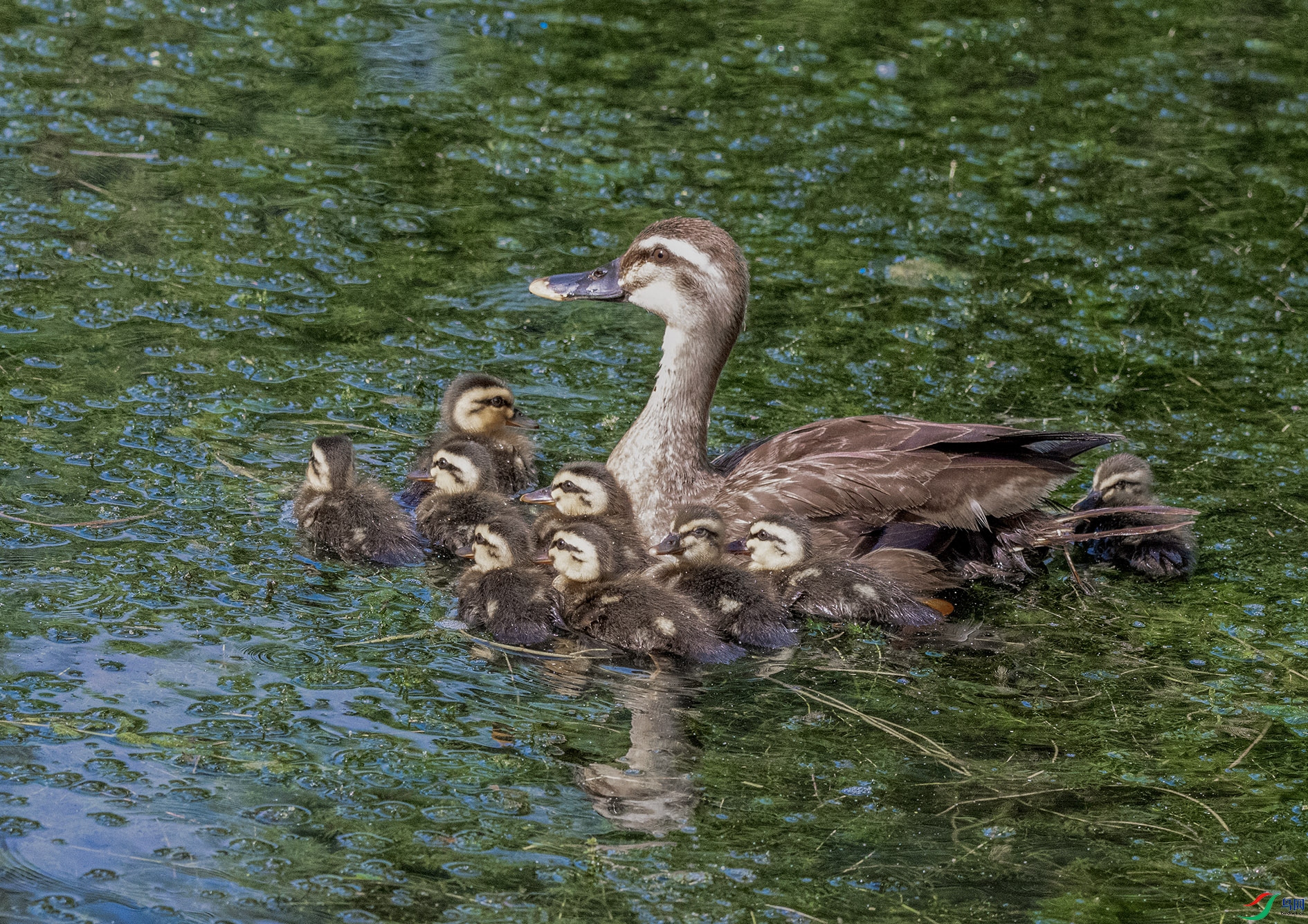 REC_4437 ����.jpg