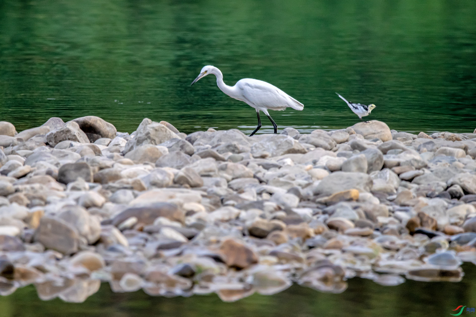 DSC_4501 ����.jpg