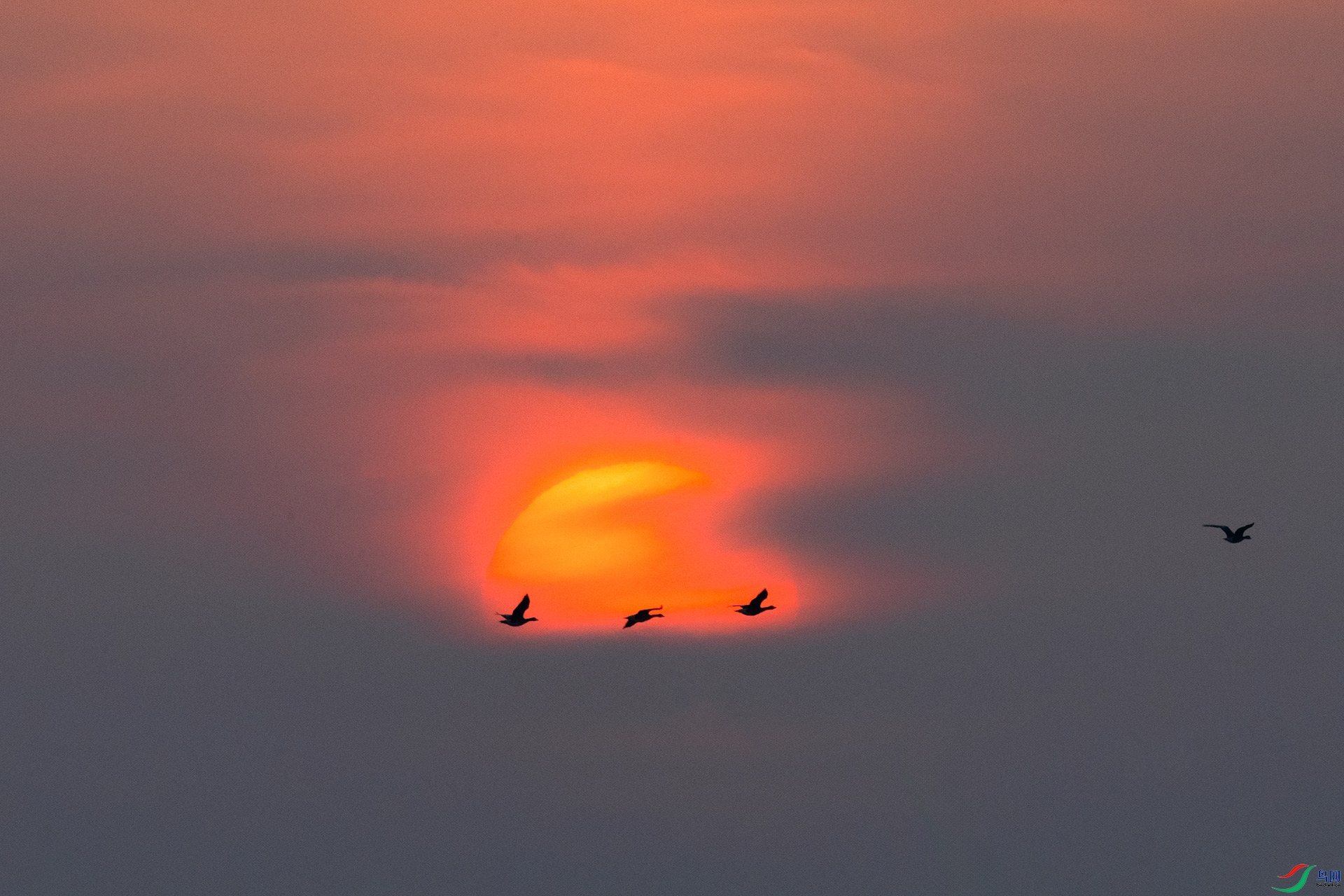 �����״���