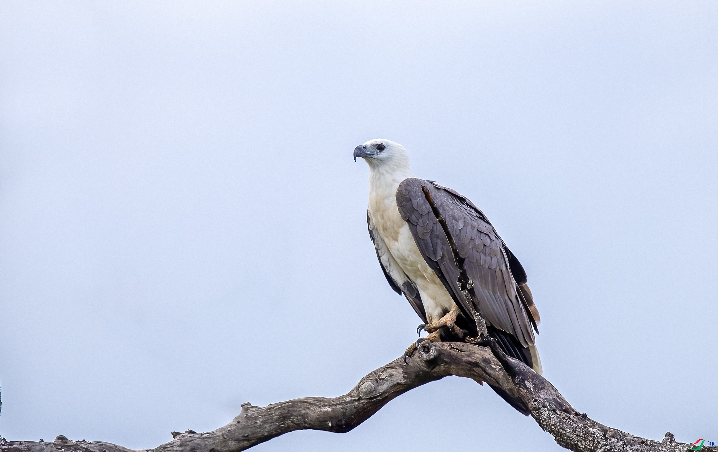 AC3I2690 ����.jpg