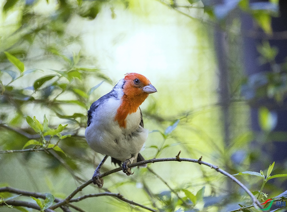 0X2A6481.jpg