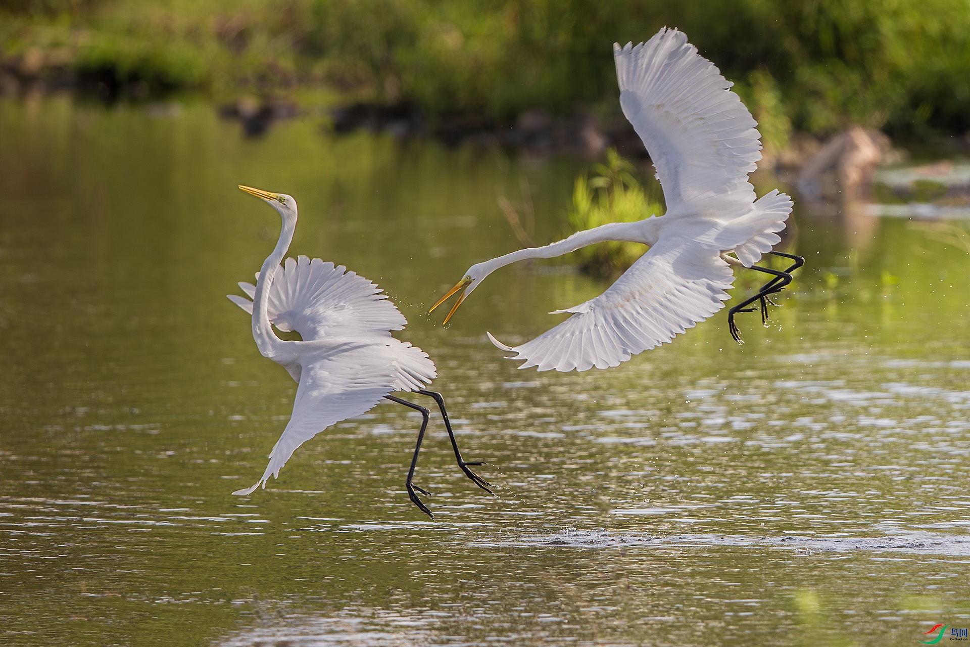 _U3I9023 ����.jpg