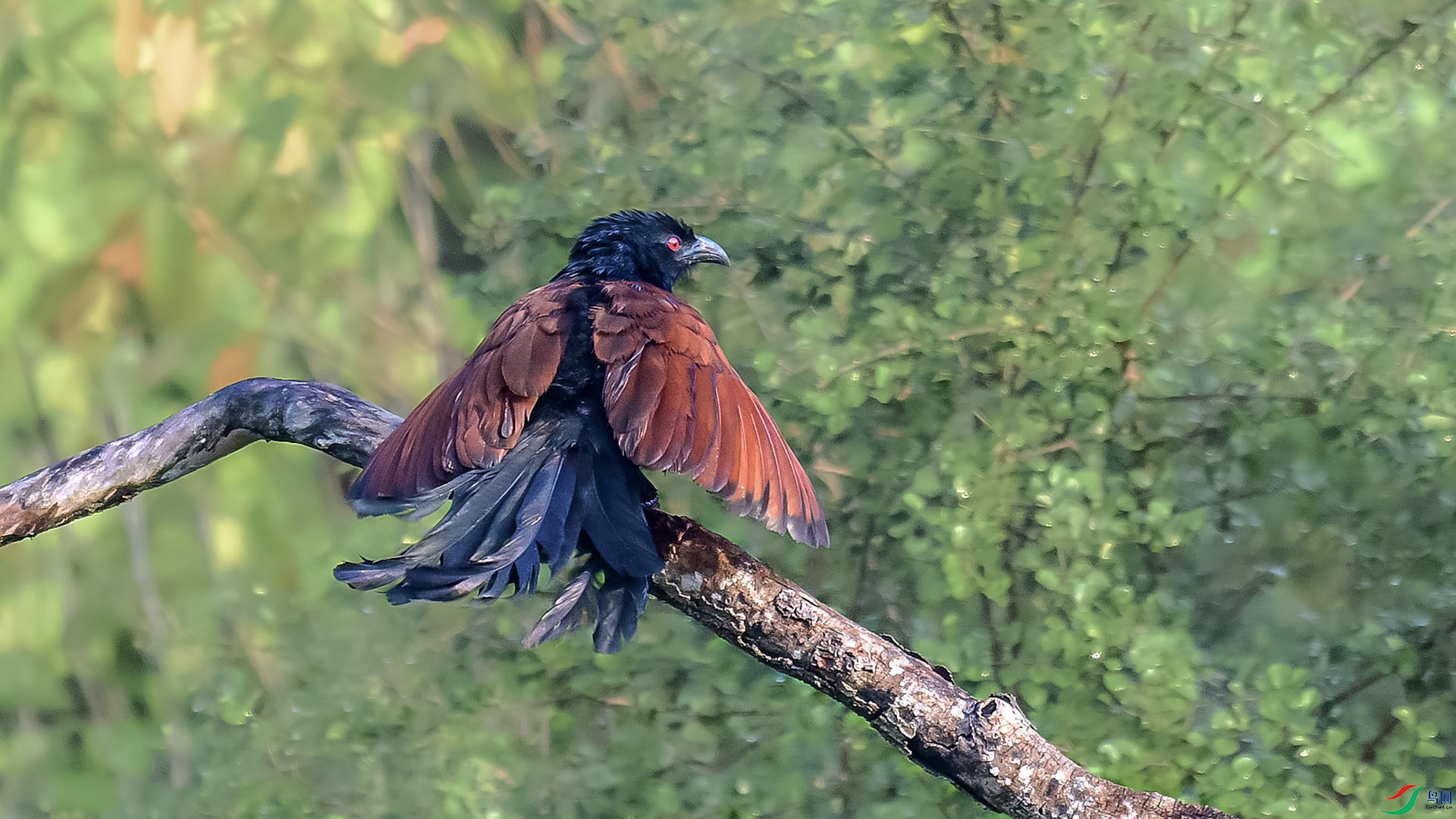 DSC_4320 ����.jpg