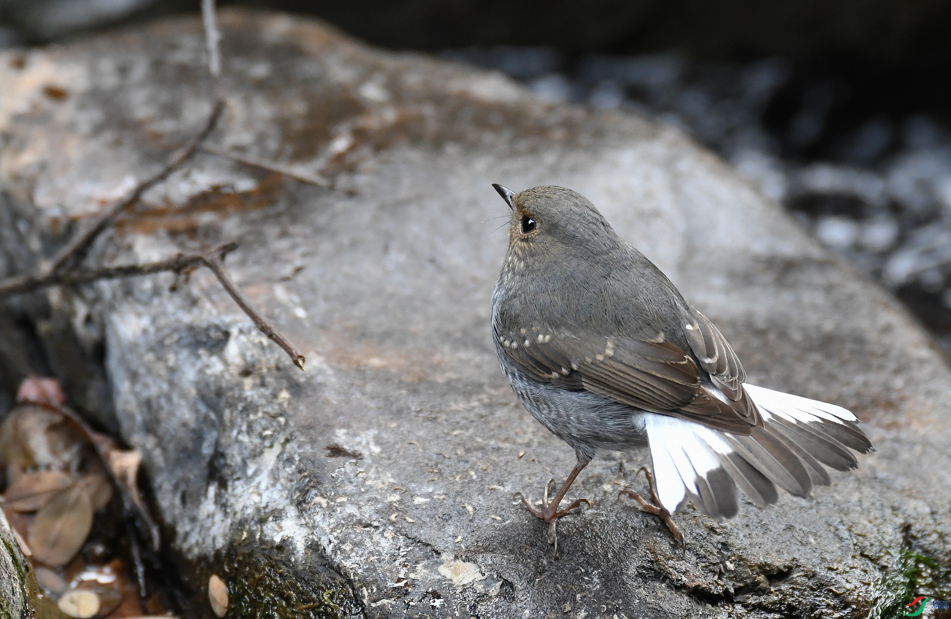 DSC_4968.jpg