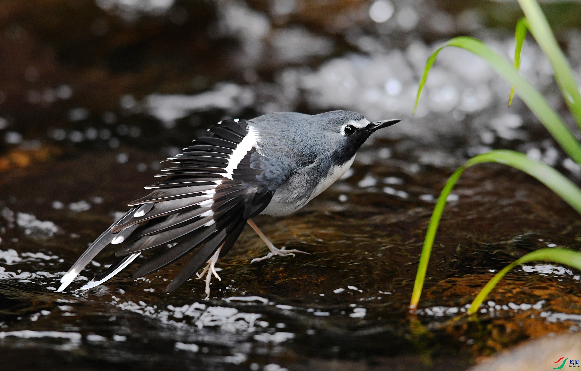 DSC_6478.jpg