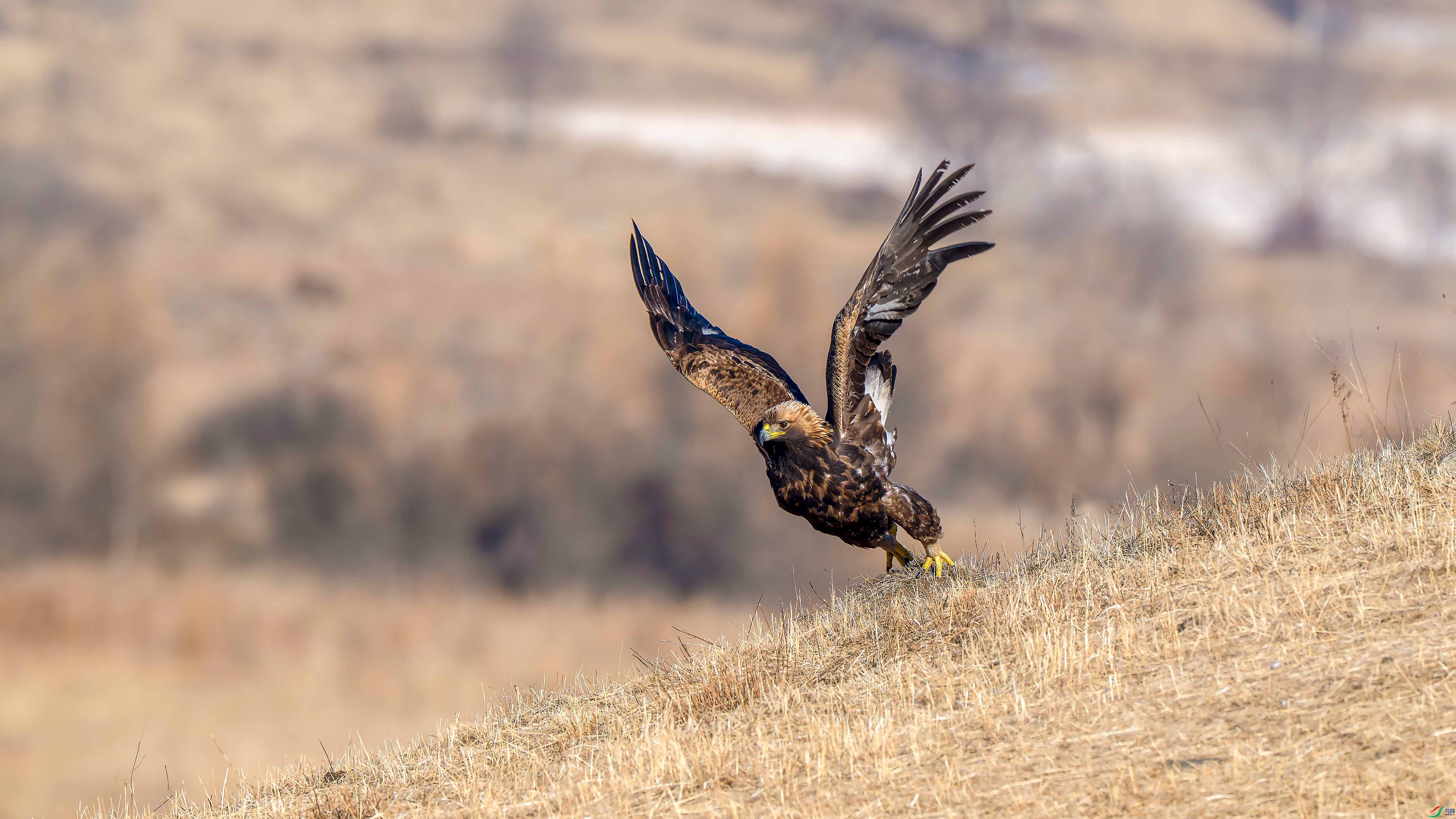 _DSC7297 ����xiao.jpg