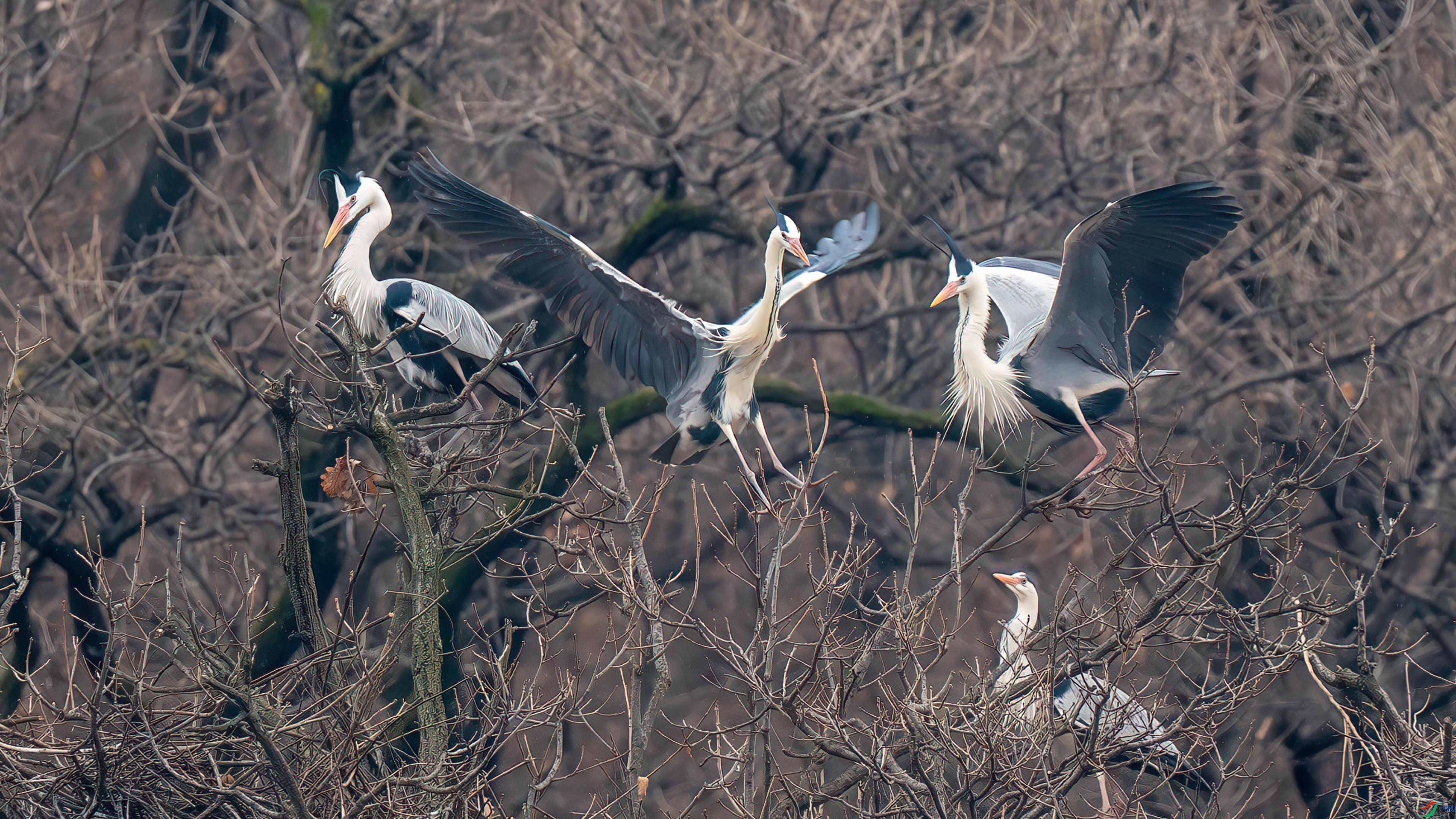 1��22�� (1)-����.jpg