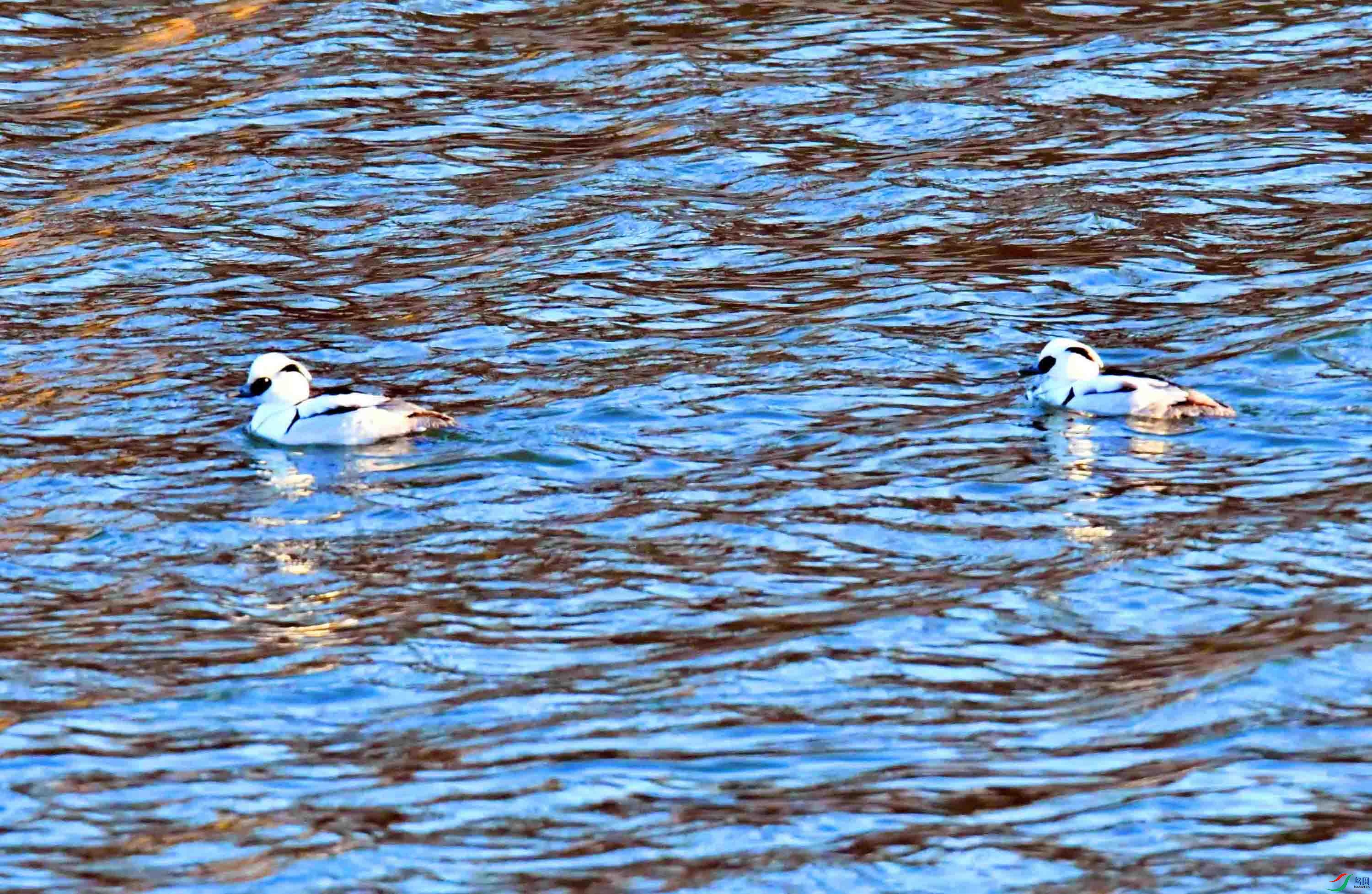 DSC_8744.JPG