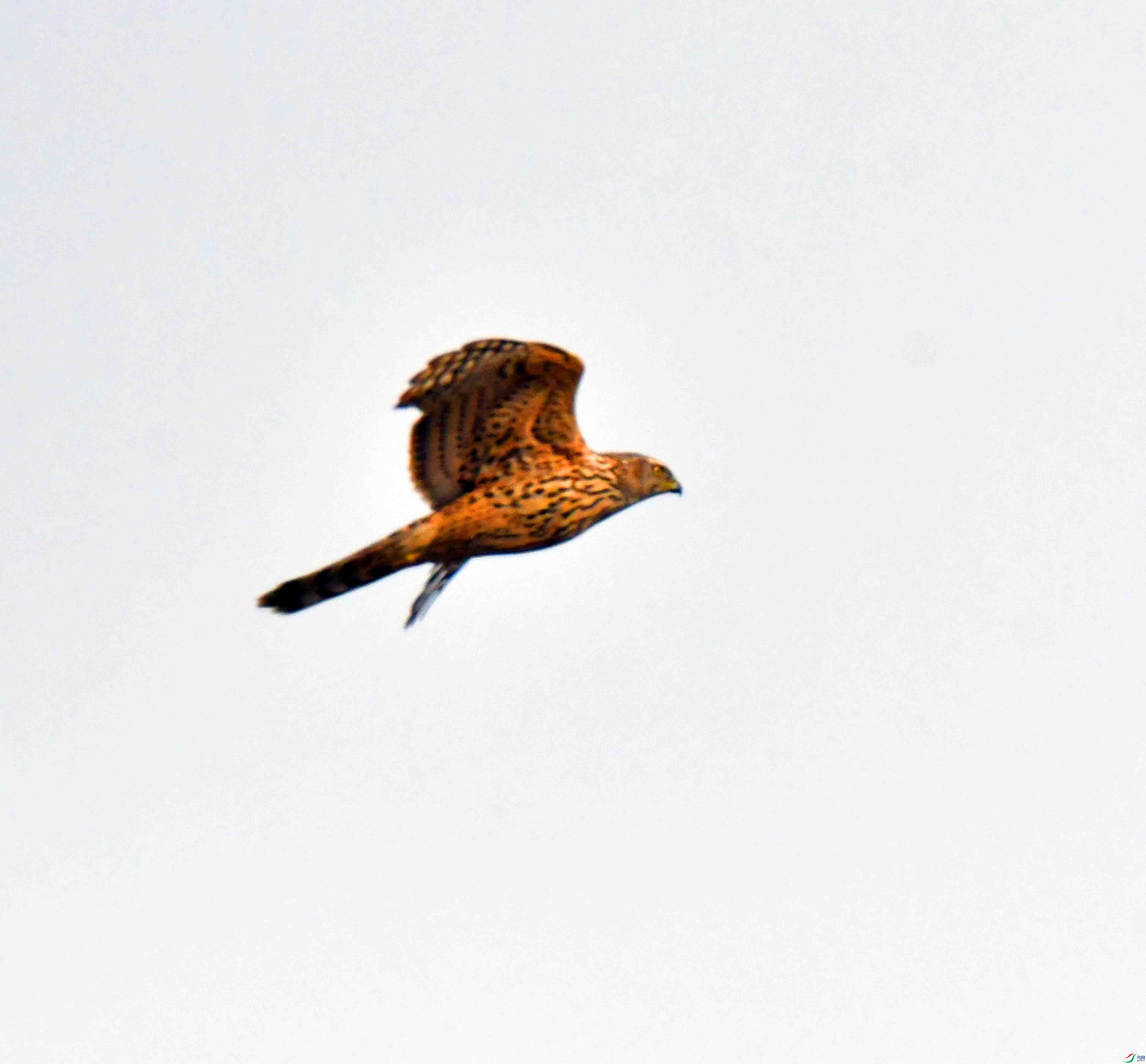 DSC_4161.JPG