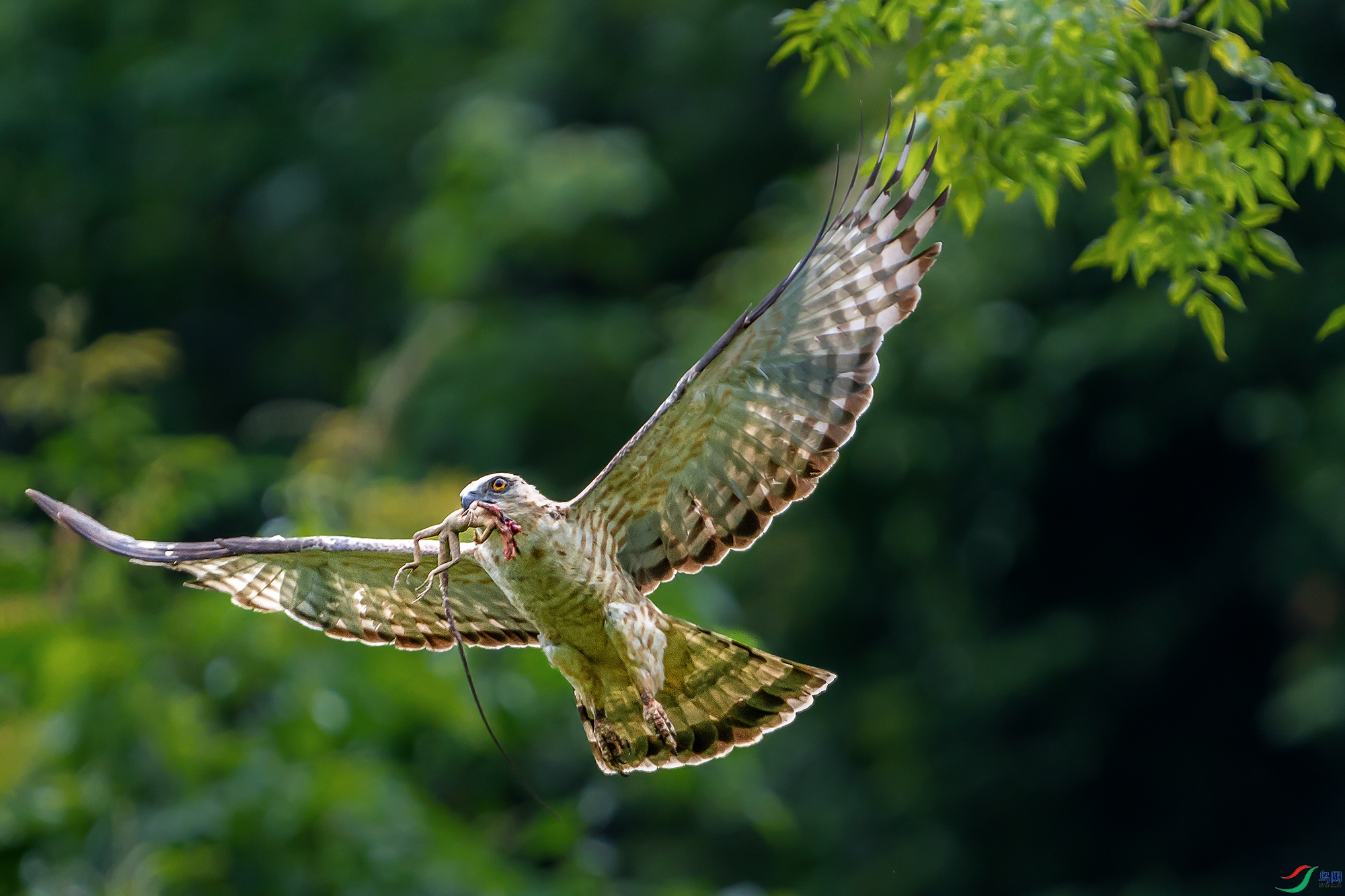 DSC00423 ����aa ���� 2aaaaaaaa222222222.jpg