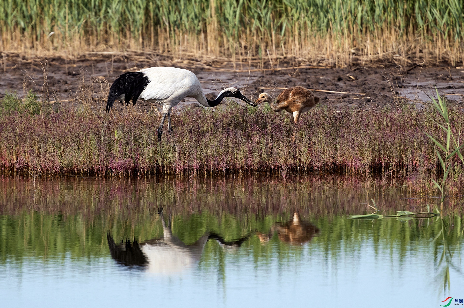 �������� (55).jpg